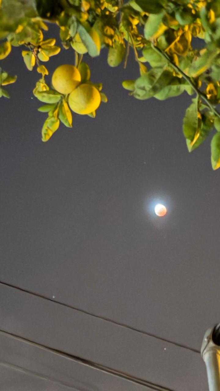 The Moon over Englewood, Estados Unidos — full moon, Lunar Day 16