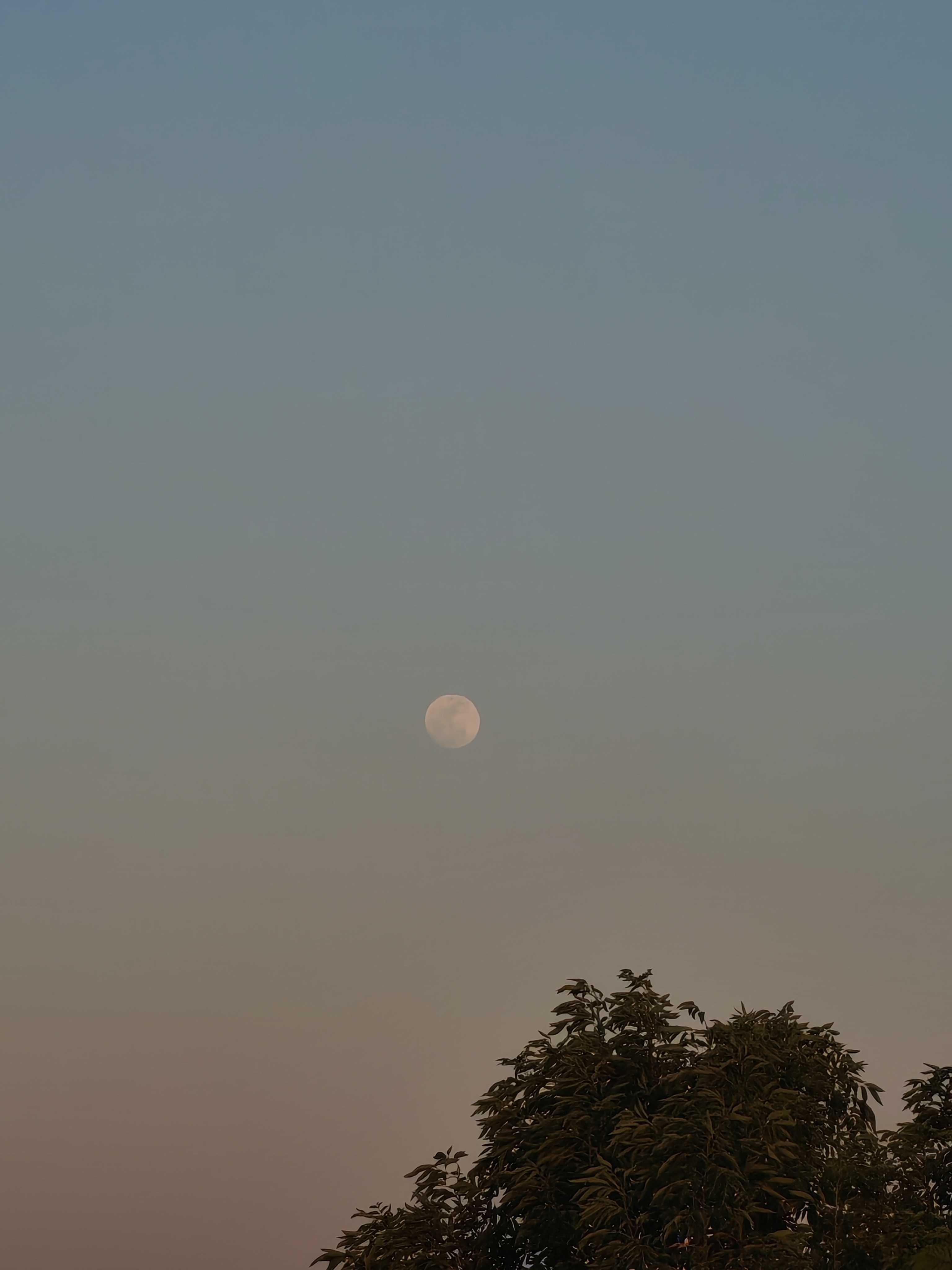 The Moon over Zapopan, México — full moon, Lunar Day 14