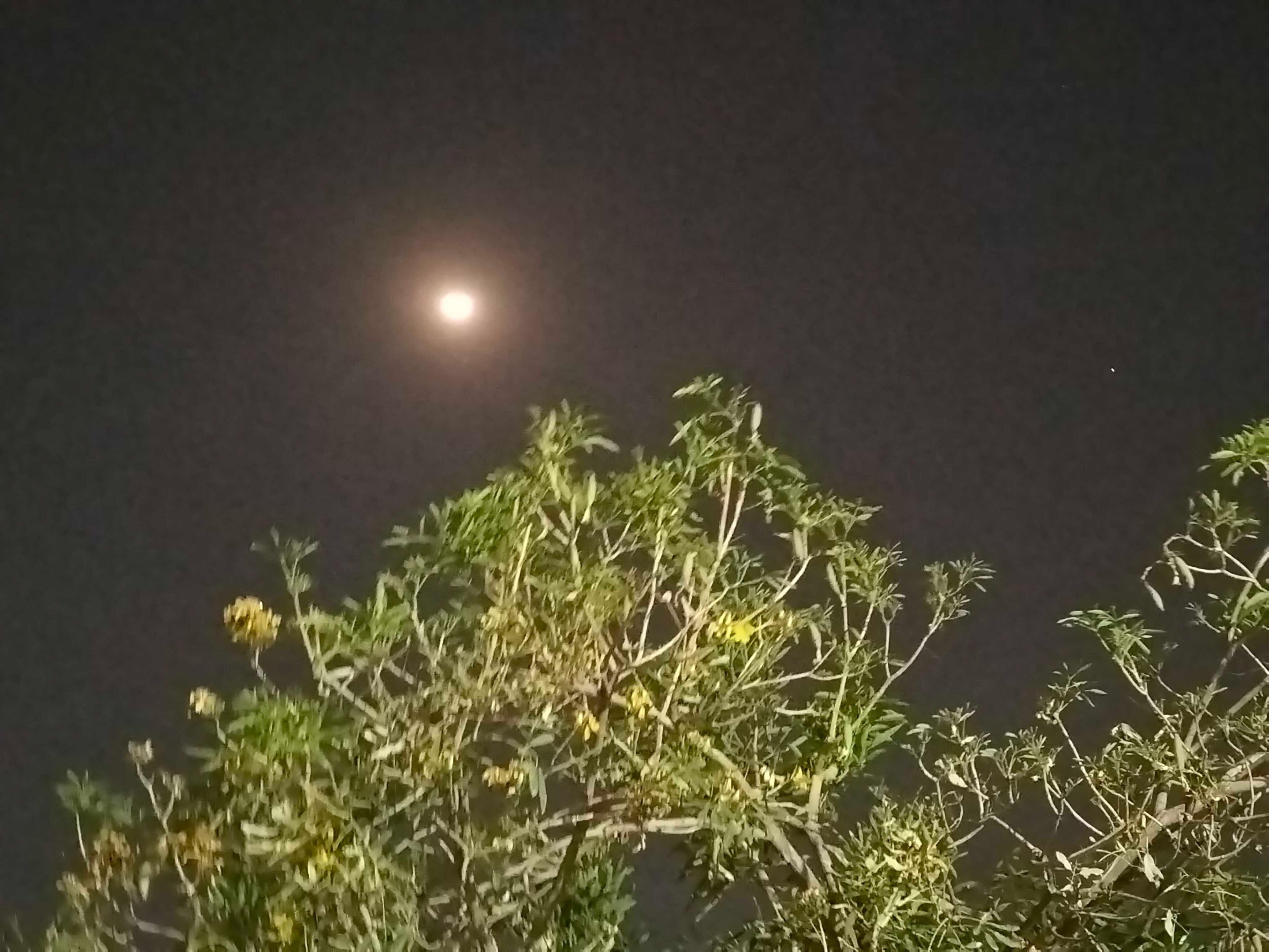 The Moon over Faridabad, India — first quarter, Lunar Day 6