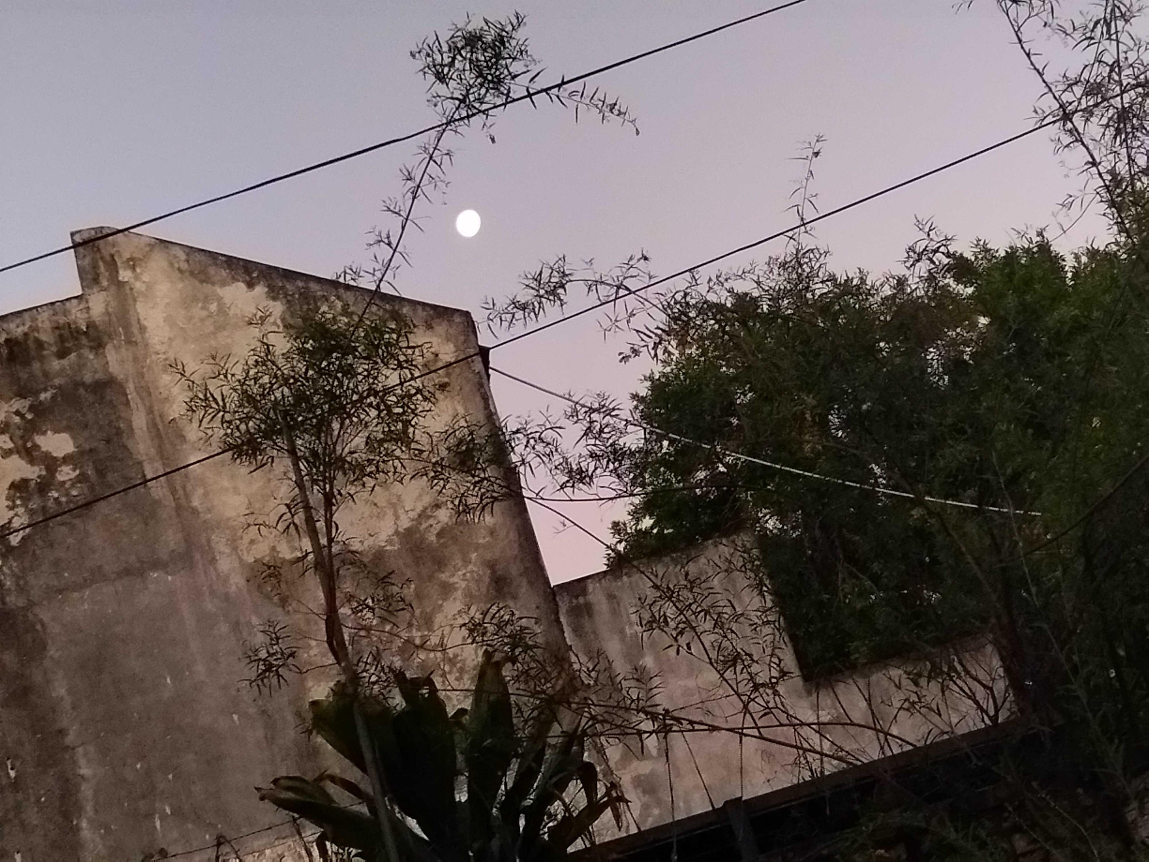 The Moon over Resistencia, Argentina — waning crescent, Lunar Day 24