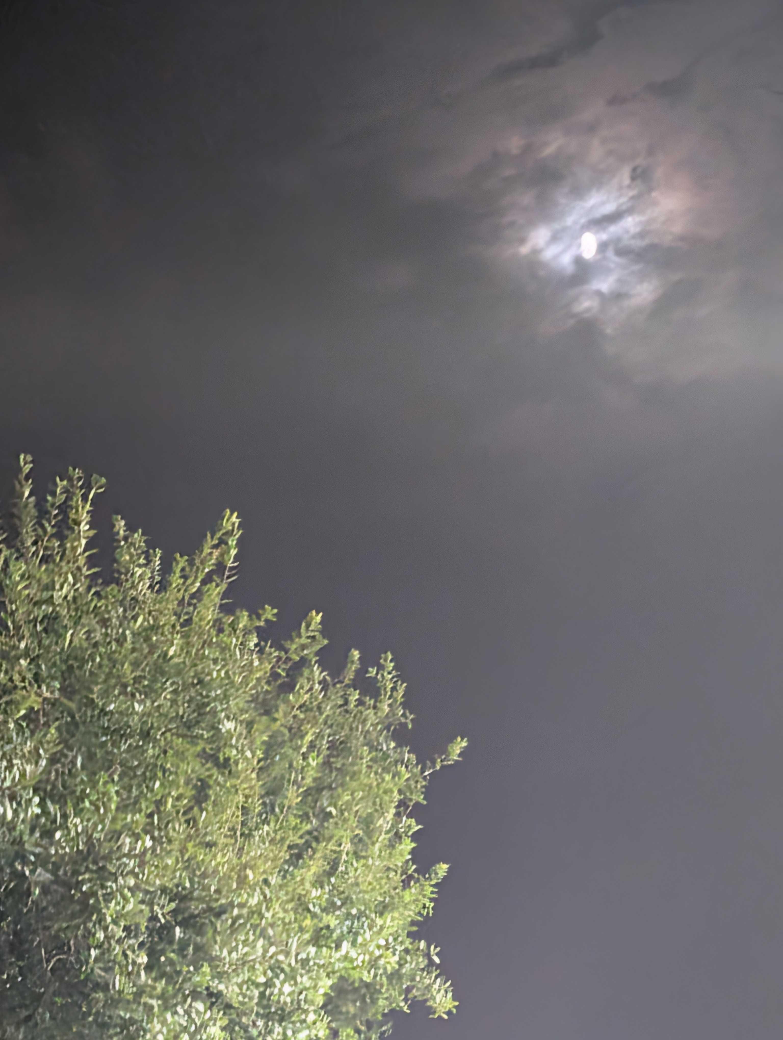 The Moon over Port St. Lucie, United States — first quarter, Lunar Day 10