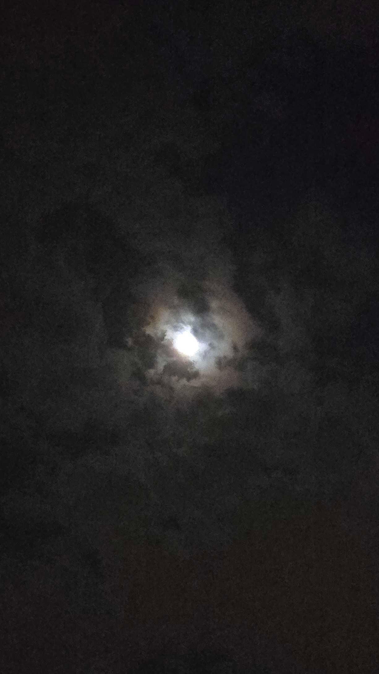 The Moon over Lampertheim, Deutschland — first quarter, Lunar Day 9