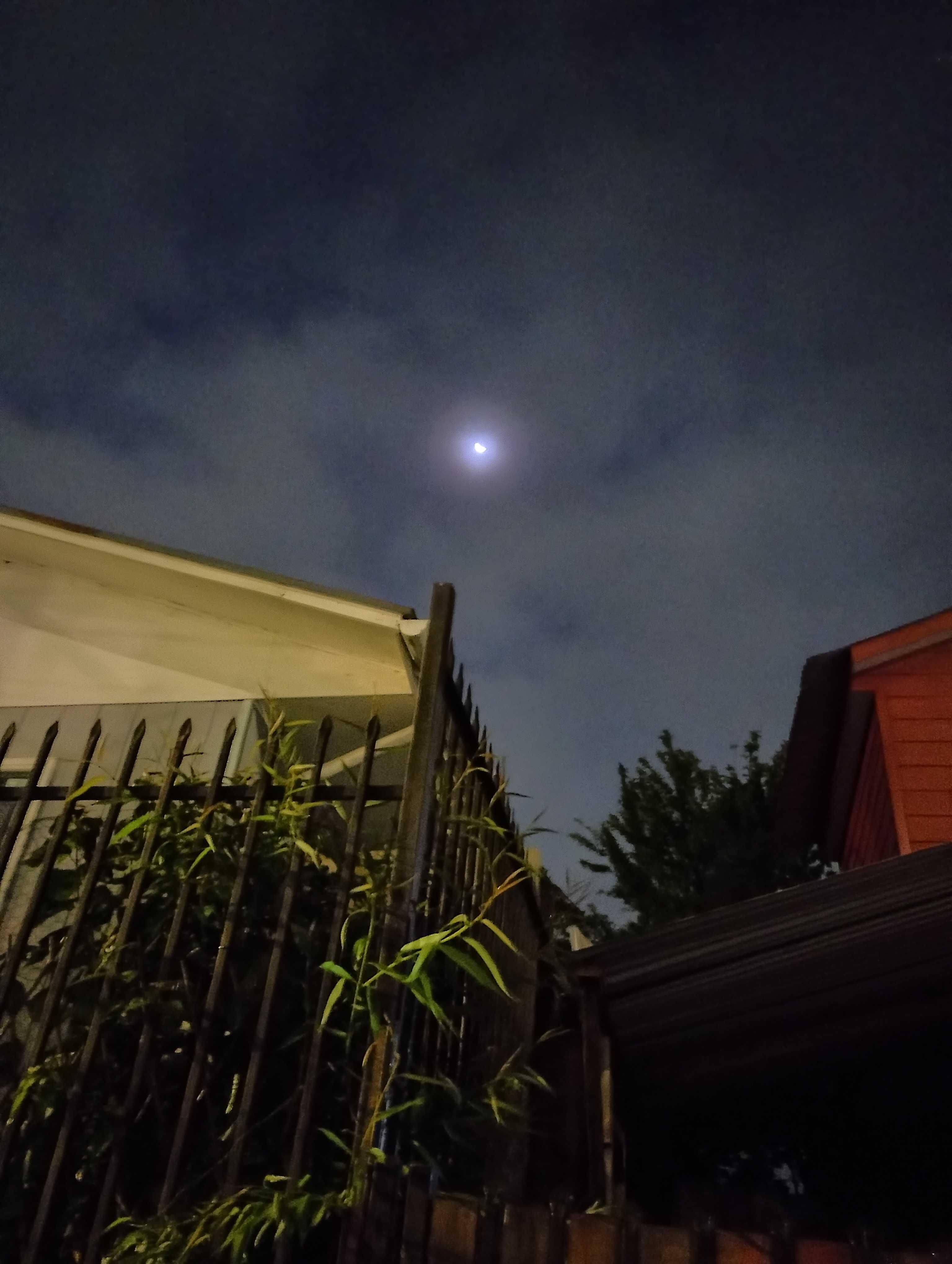 The Moon over Temuco, Chile — first quarter, Lunar Day 8
