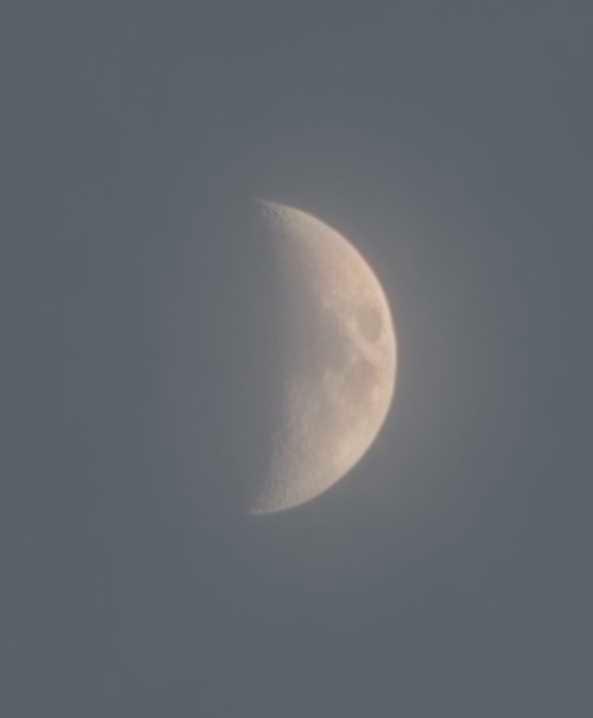 The Moon over 아산시, 대한민국 — first quarter, Lunar Day 8