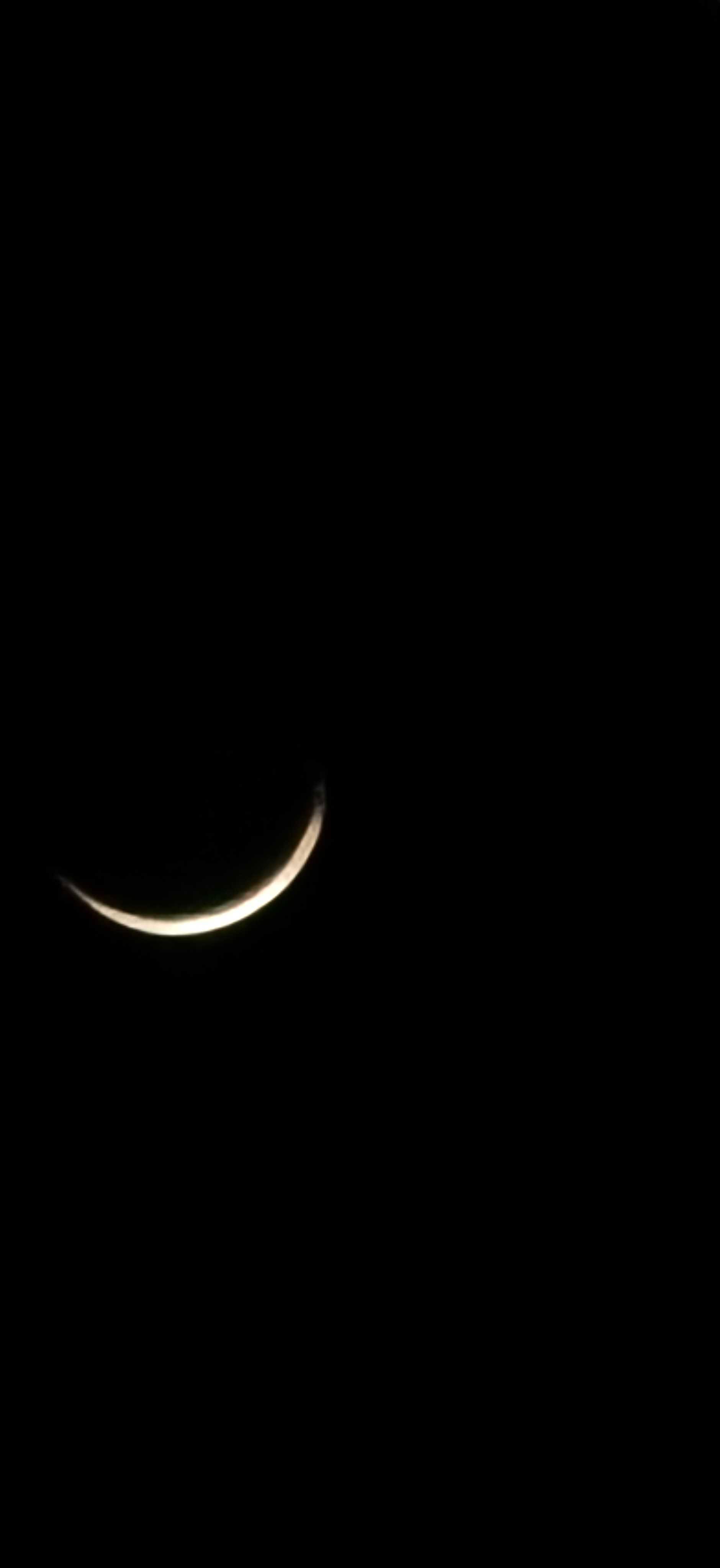 The Moon over Bayview, Australia — waning crescent, Lunar Day 28
