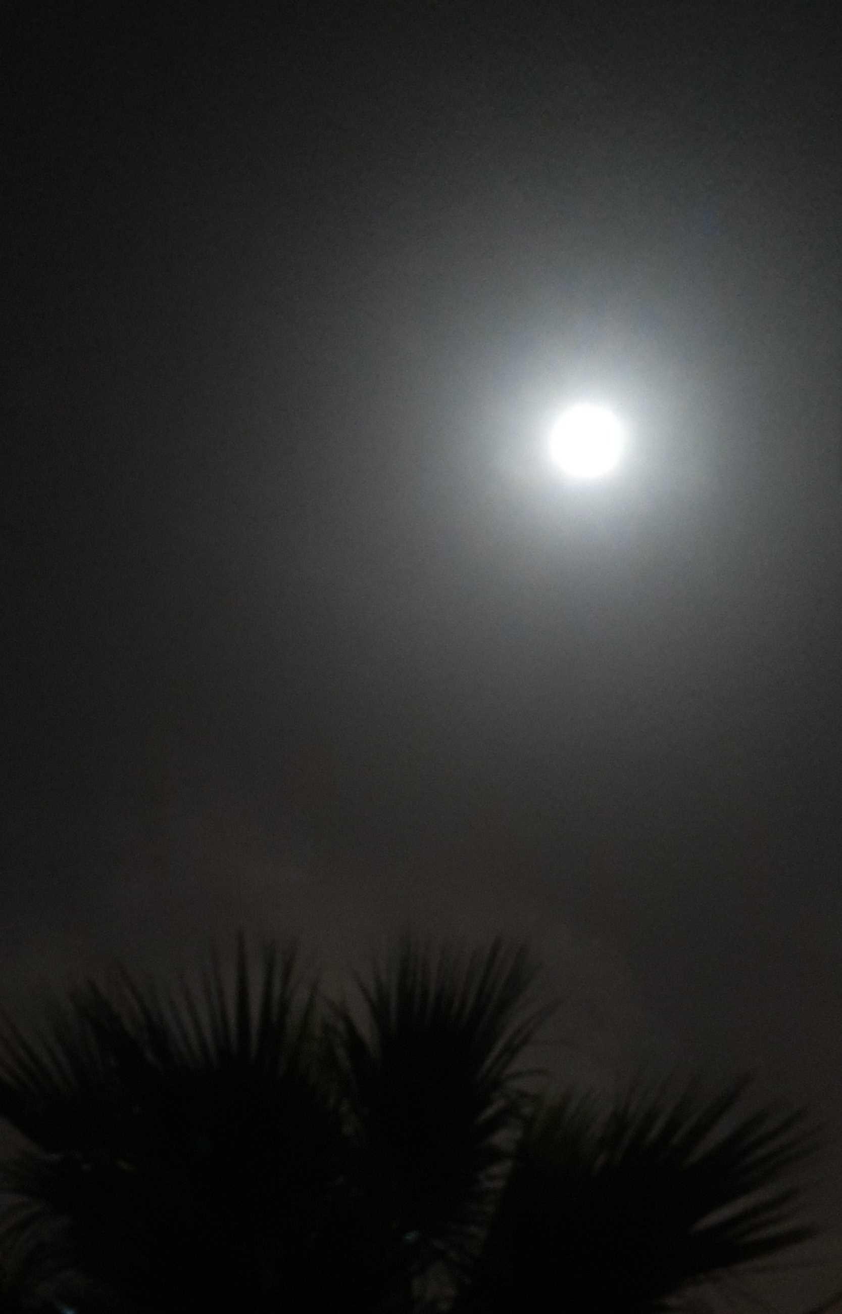 The Moon over Tunis, Tunisia — full moon, Lunar Day 17