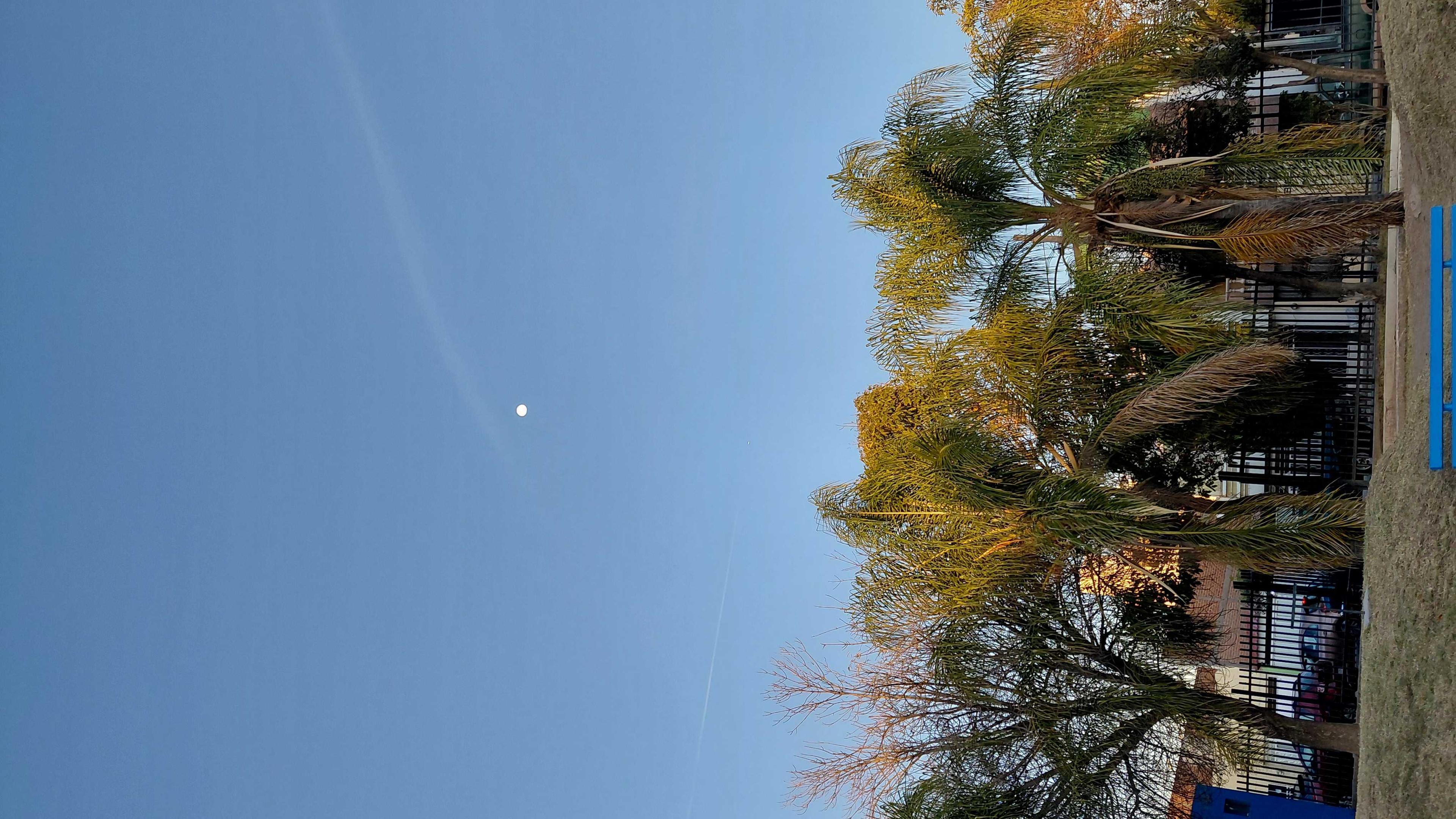 The Moon over Aguascalientes, México — waxing gibbous, Lunar Day 12