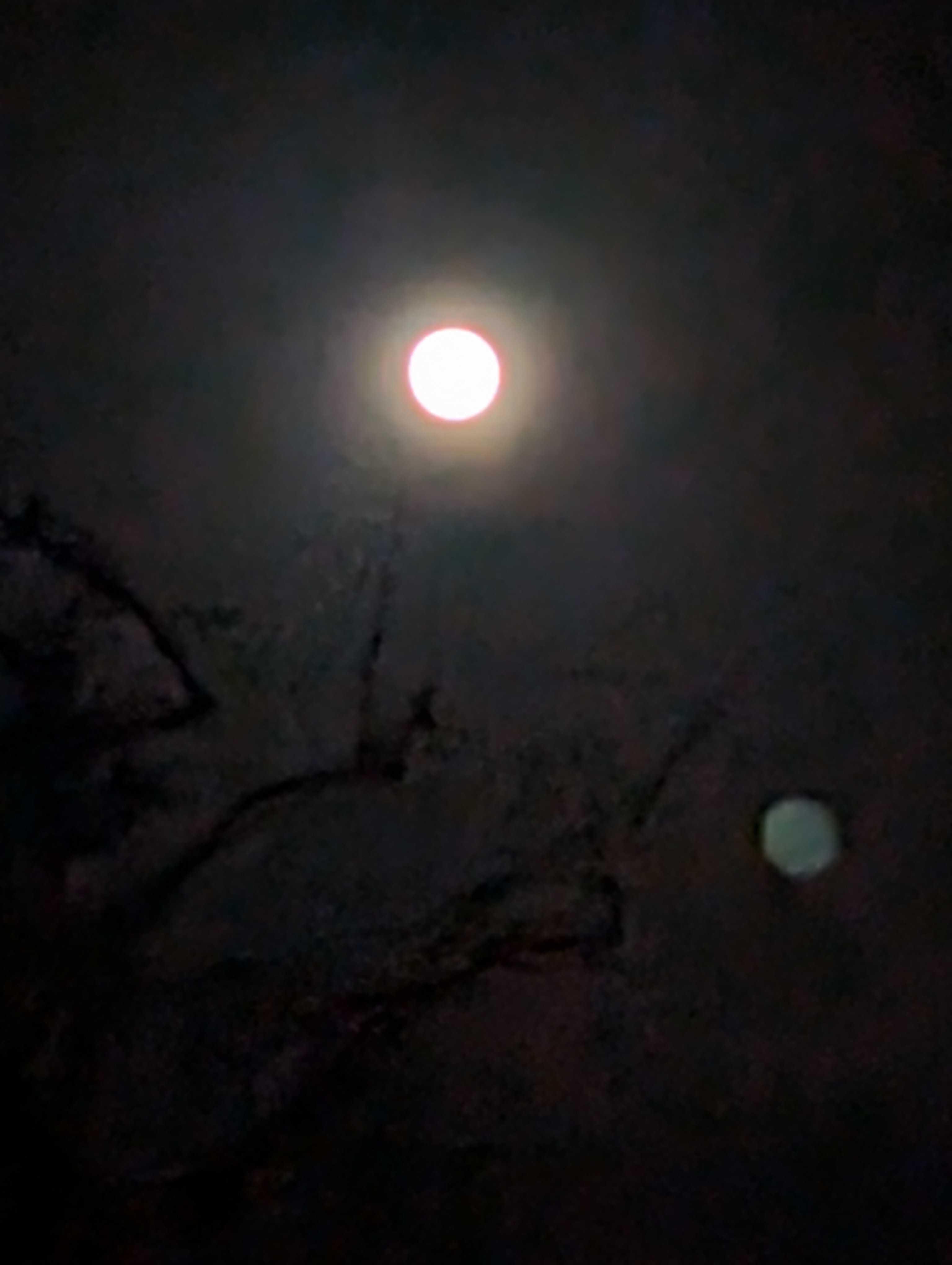 The Moon over United Kingdom — full moon, Lunar Day 14