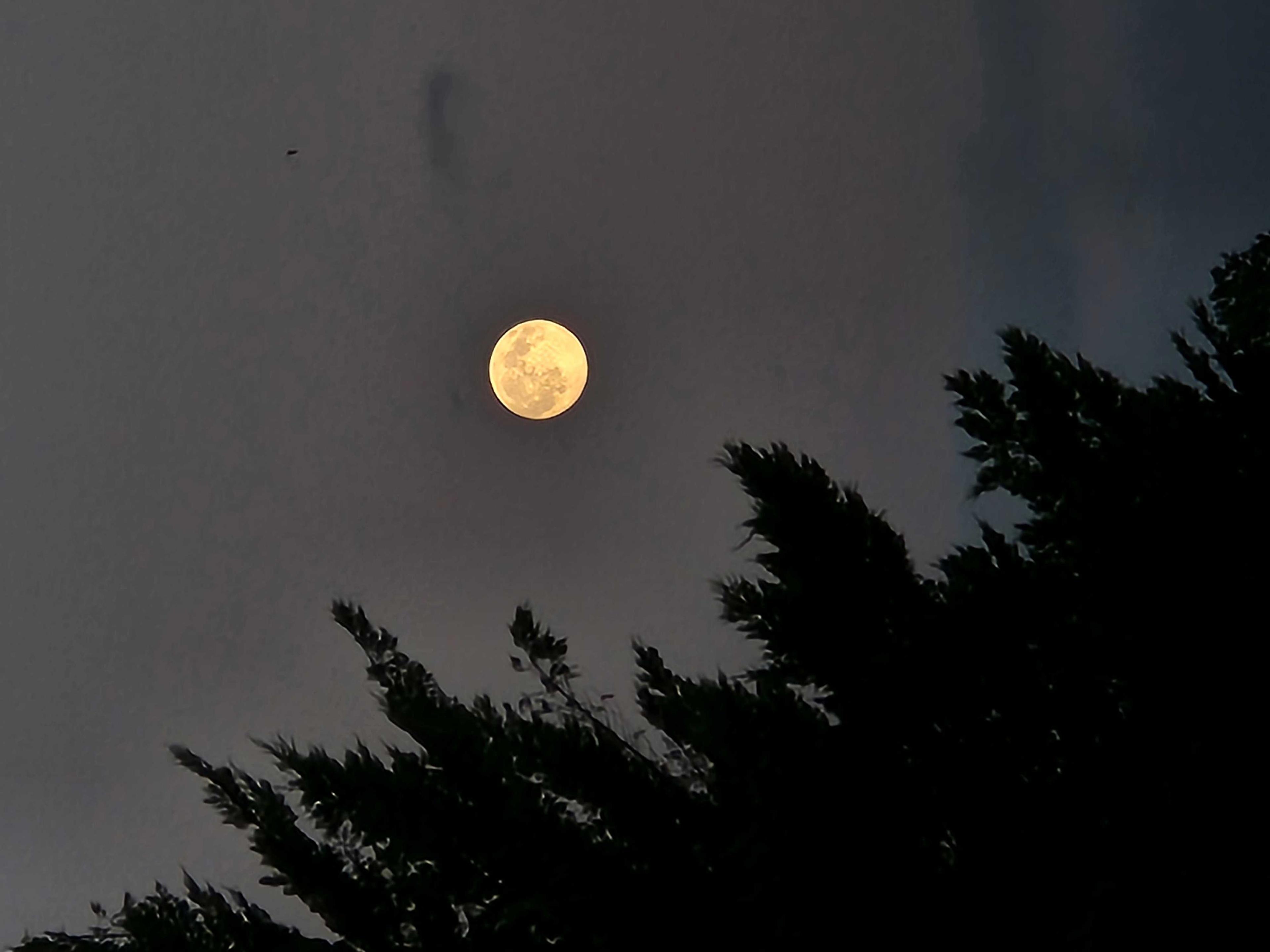 The Moon over Fontainebleau, France — full moon, Lunar Day 16