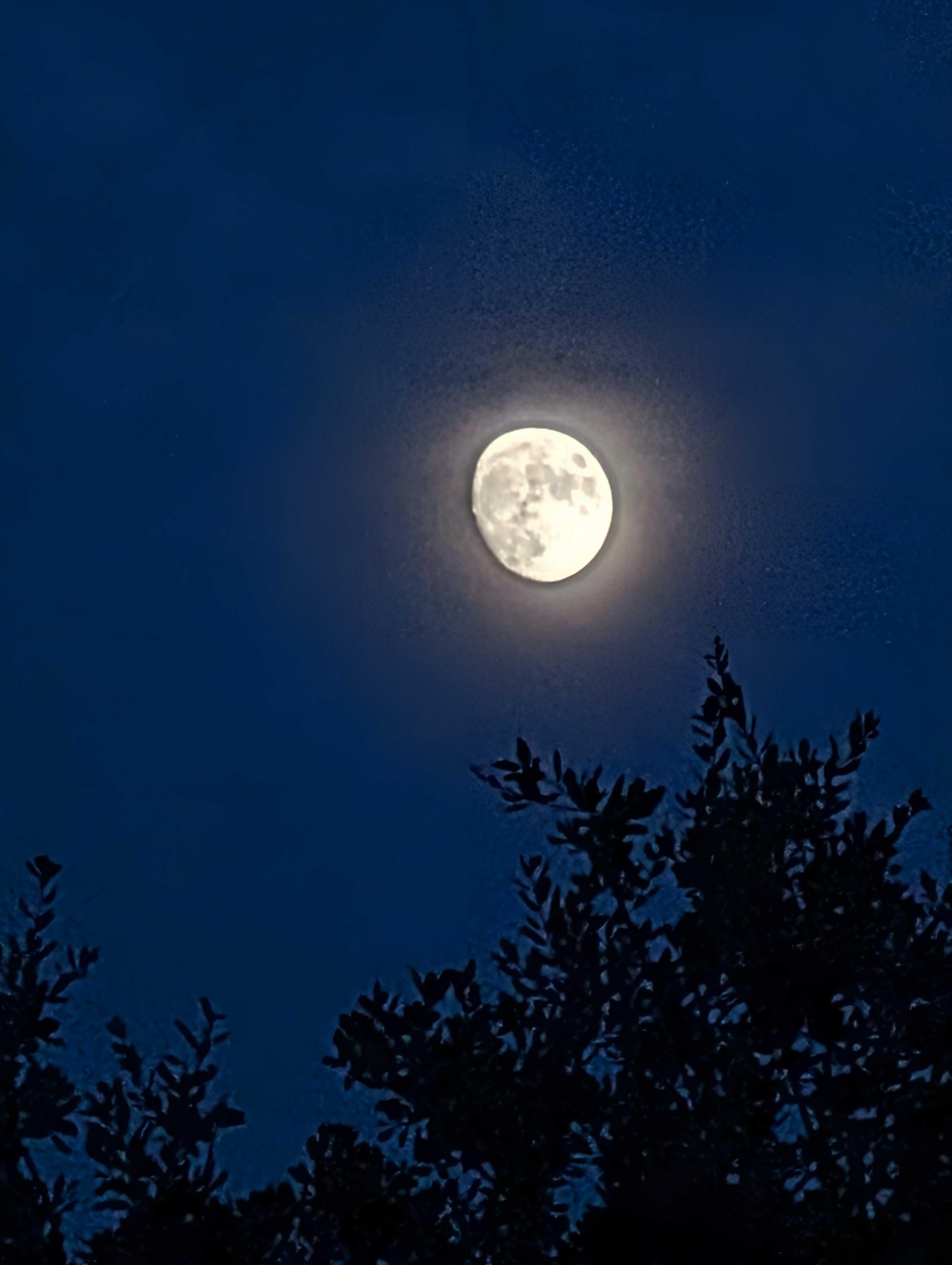 The Moon over Port St. Lucie, United States — waxing gibbous, Lunar Day 13