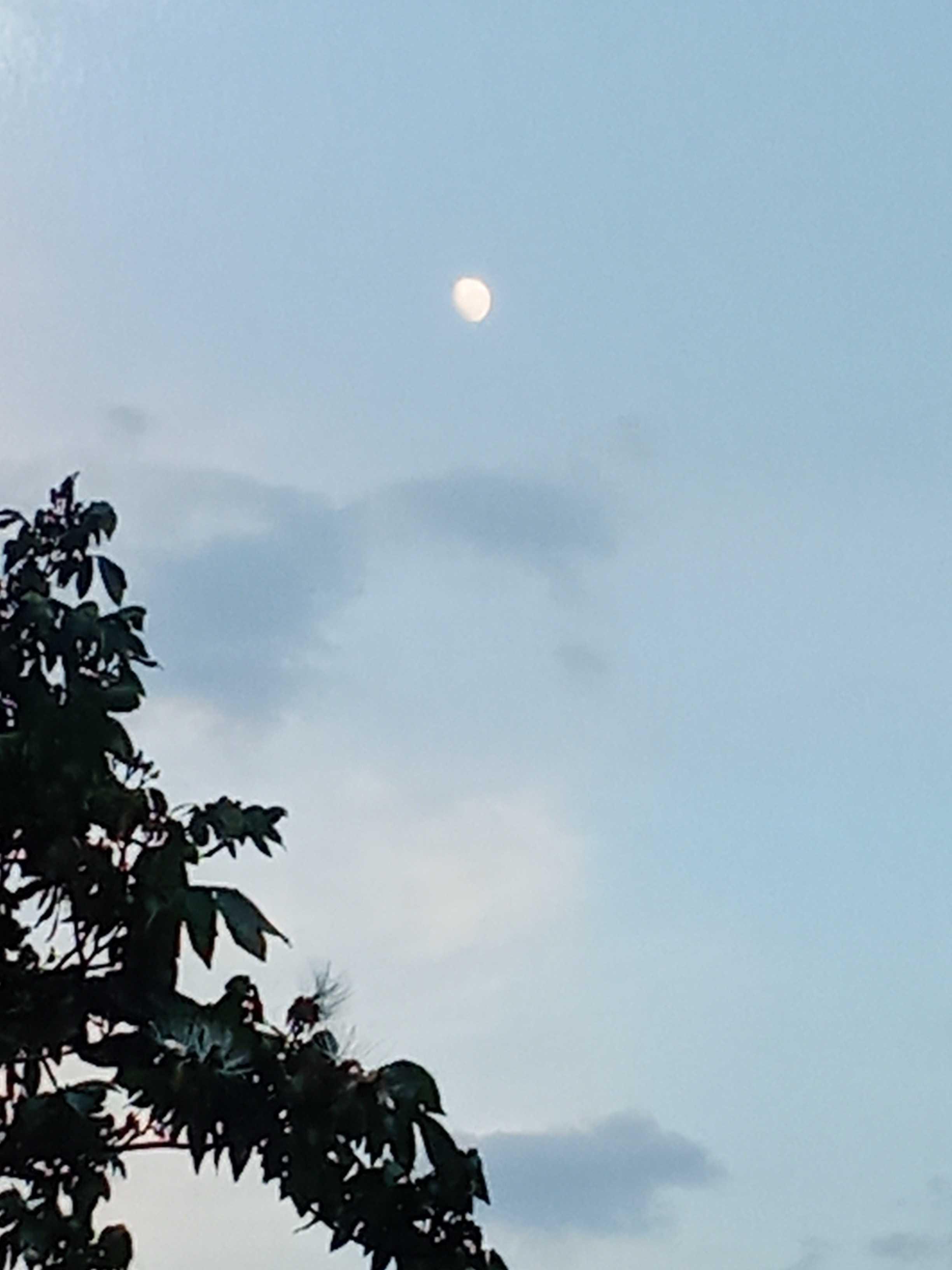 The Moon over Brasil — waning gibbous, Lunar Day 20