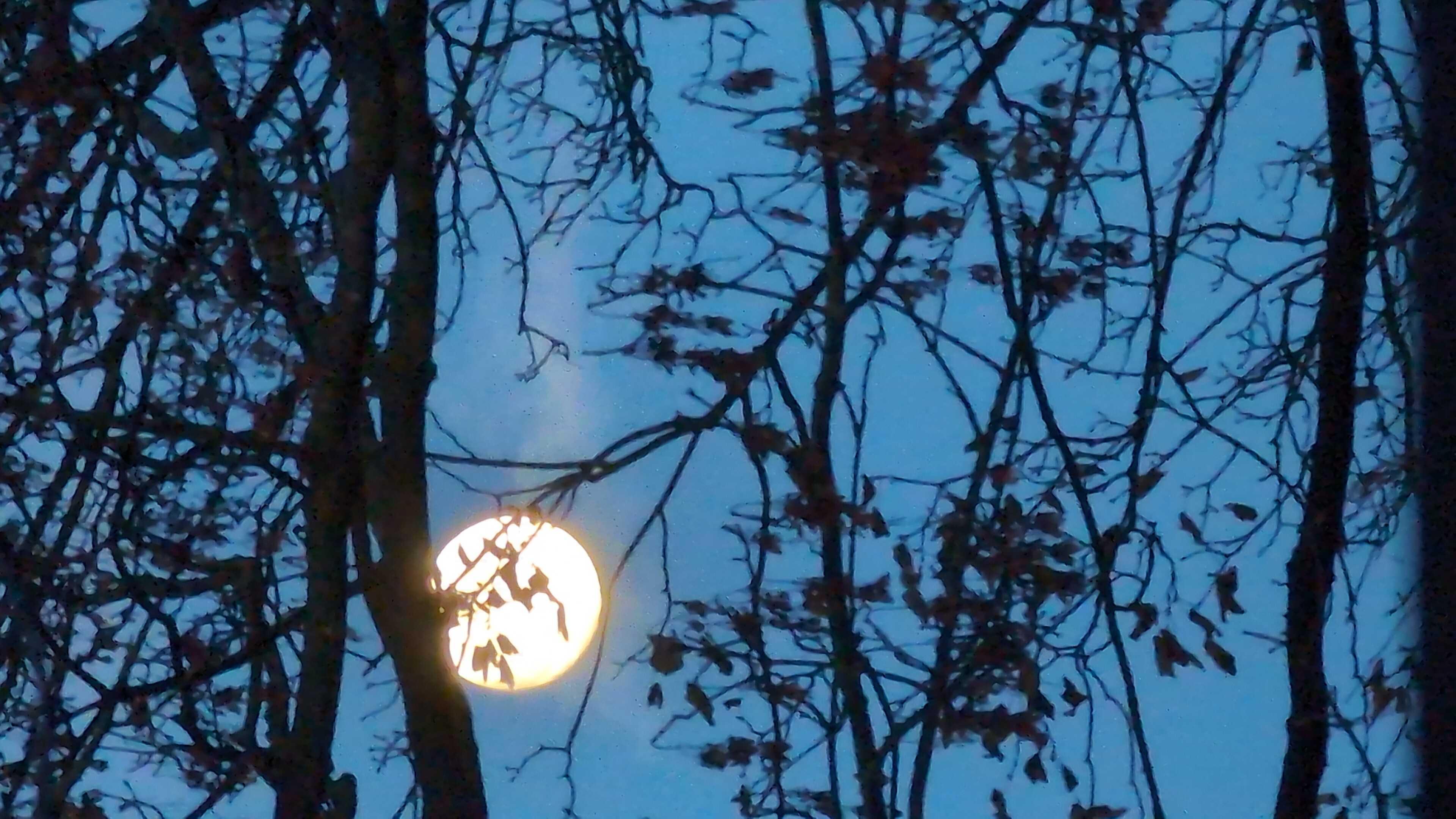 The Moon over United Kingdom — full moon, Lunar Day 15