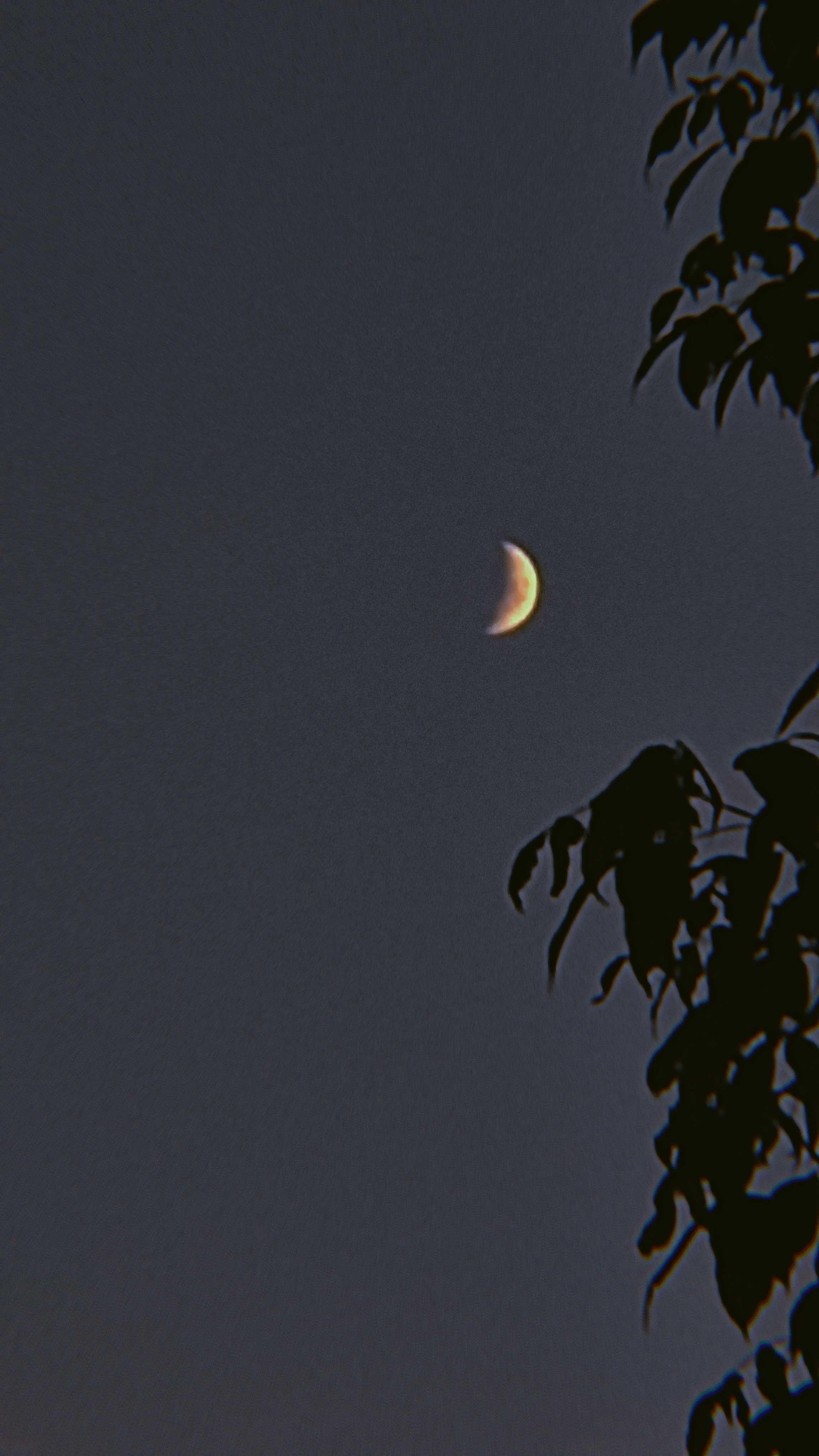 The Moon over Grenoble, France — waxing crescent, Lunar Day 5