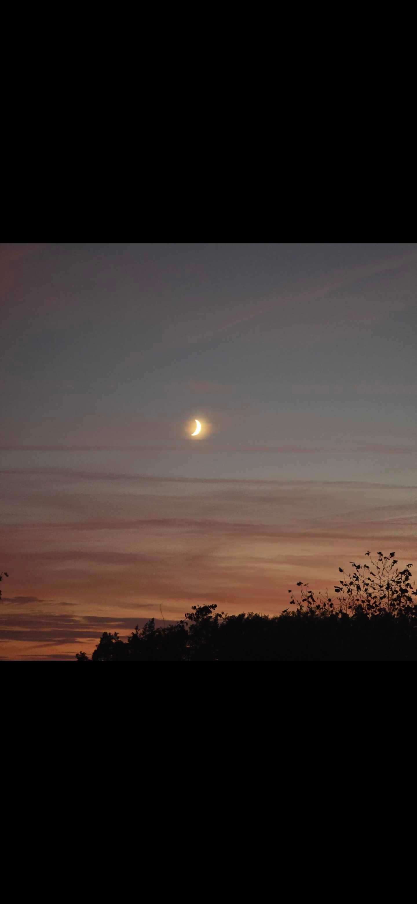 The Moon over Heiligenberg, Deutschland — first quarter, Lunar Day 7