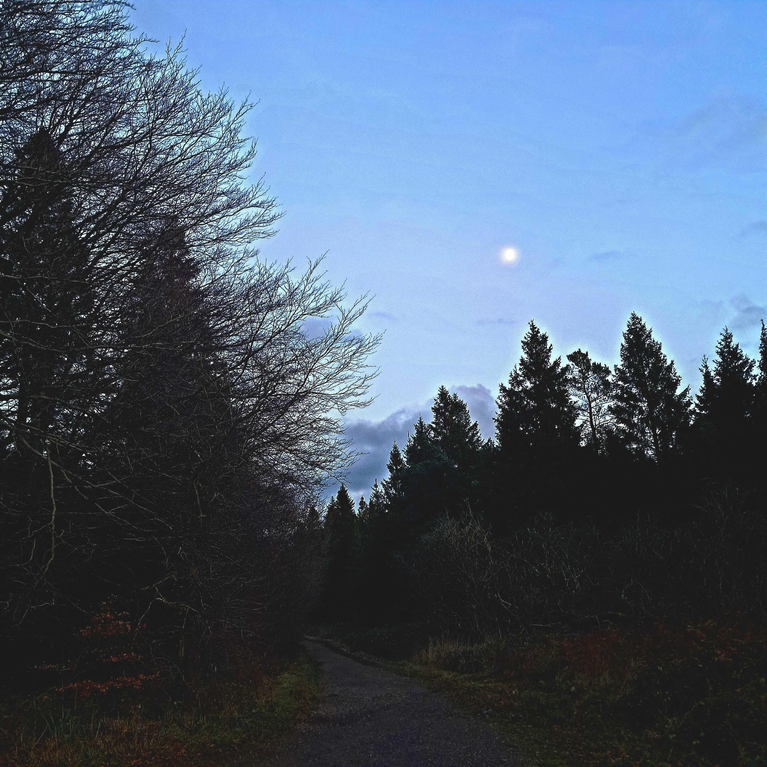 The Moon over United Kingdom — waxing gibbous, Lunar Day 12