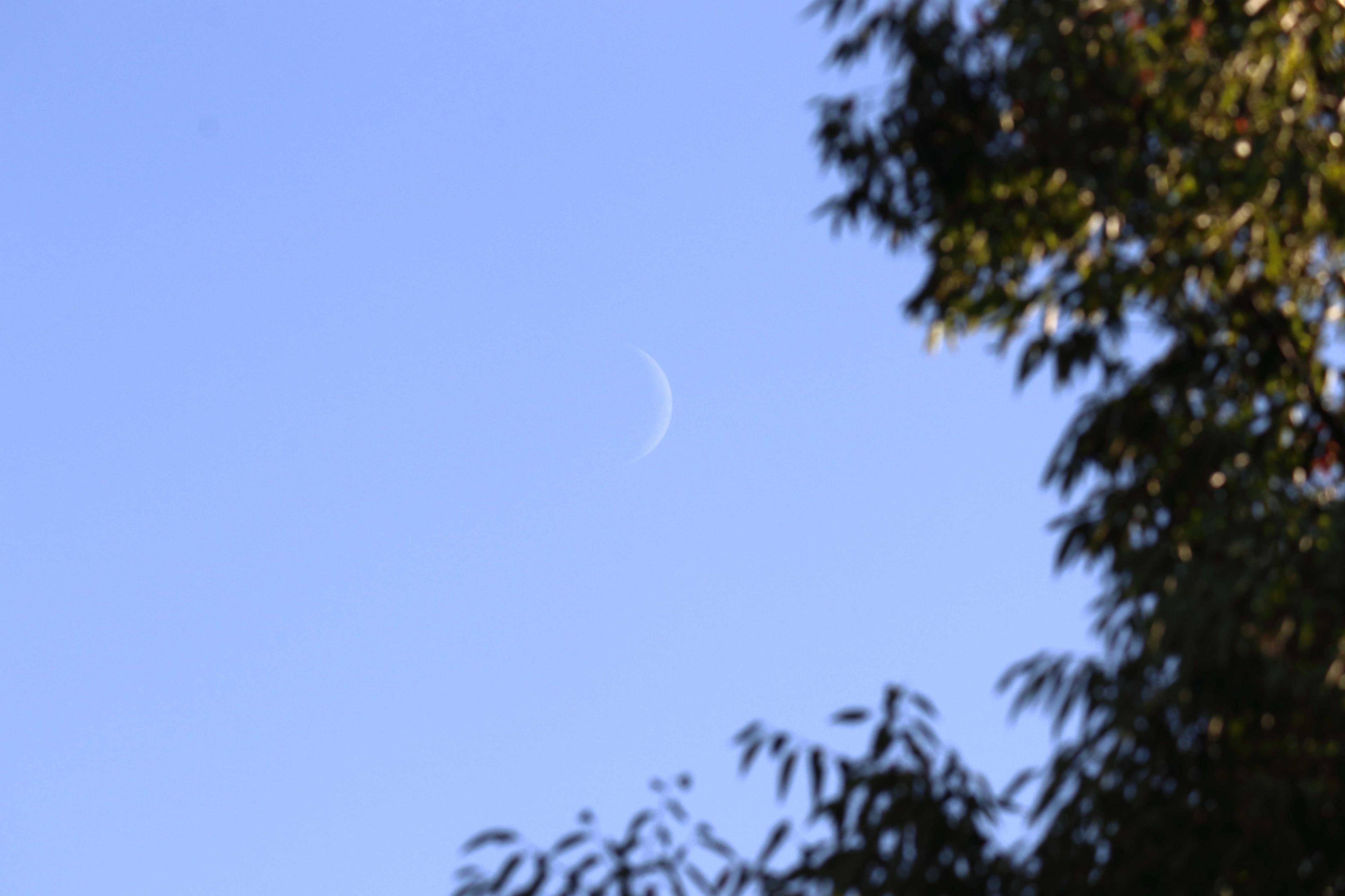 The Moon over Englewood, United States — waxing crescent, Lunar Day 5