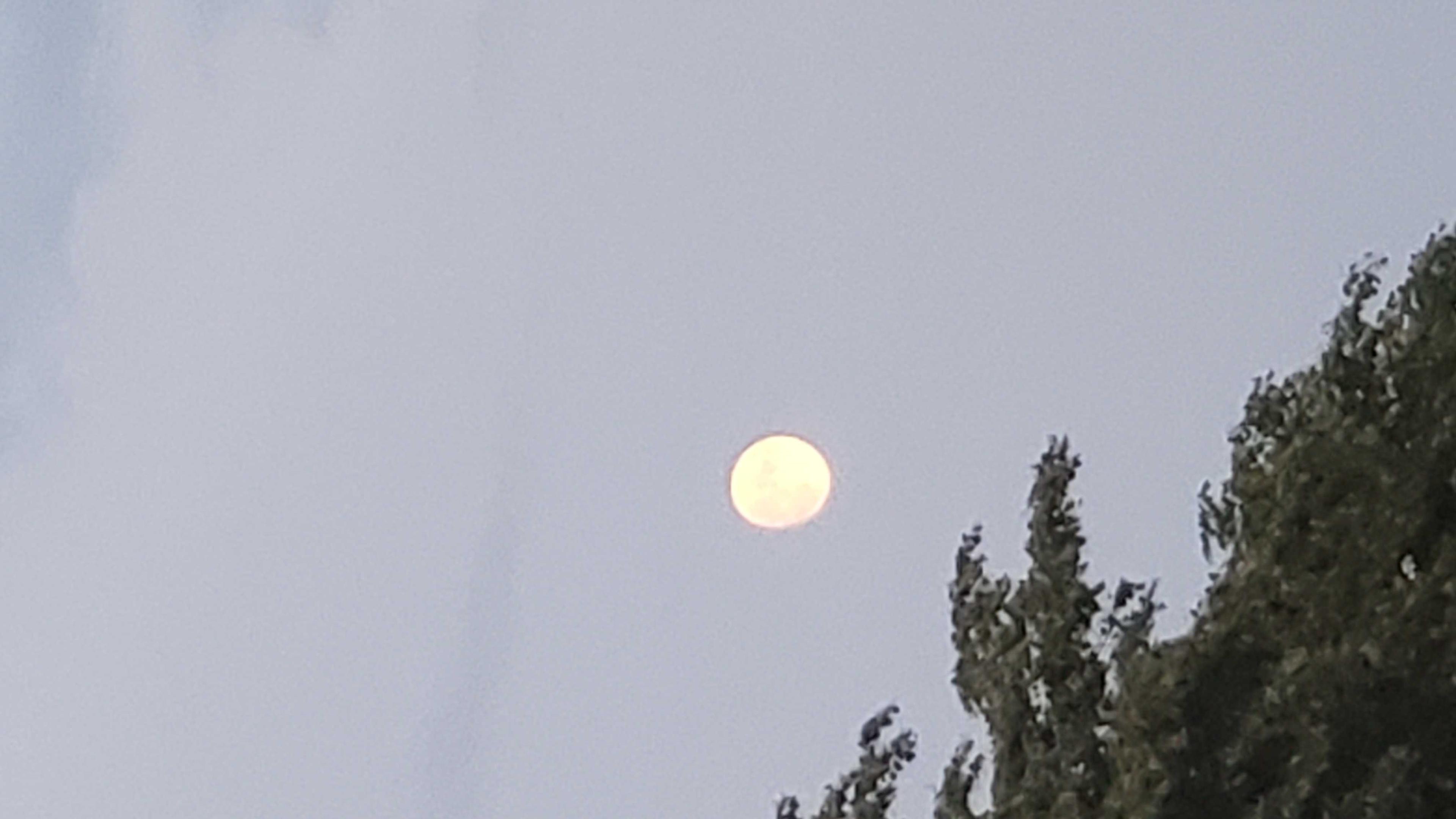 The Moon over Cleveland, United States — waxing gibbous, Lunar Day 14