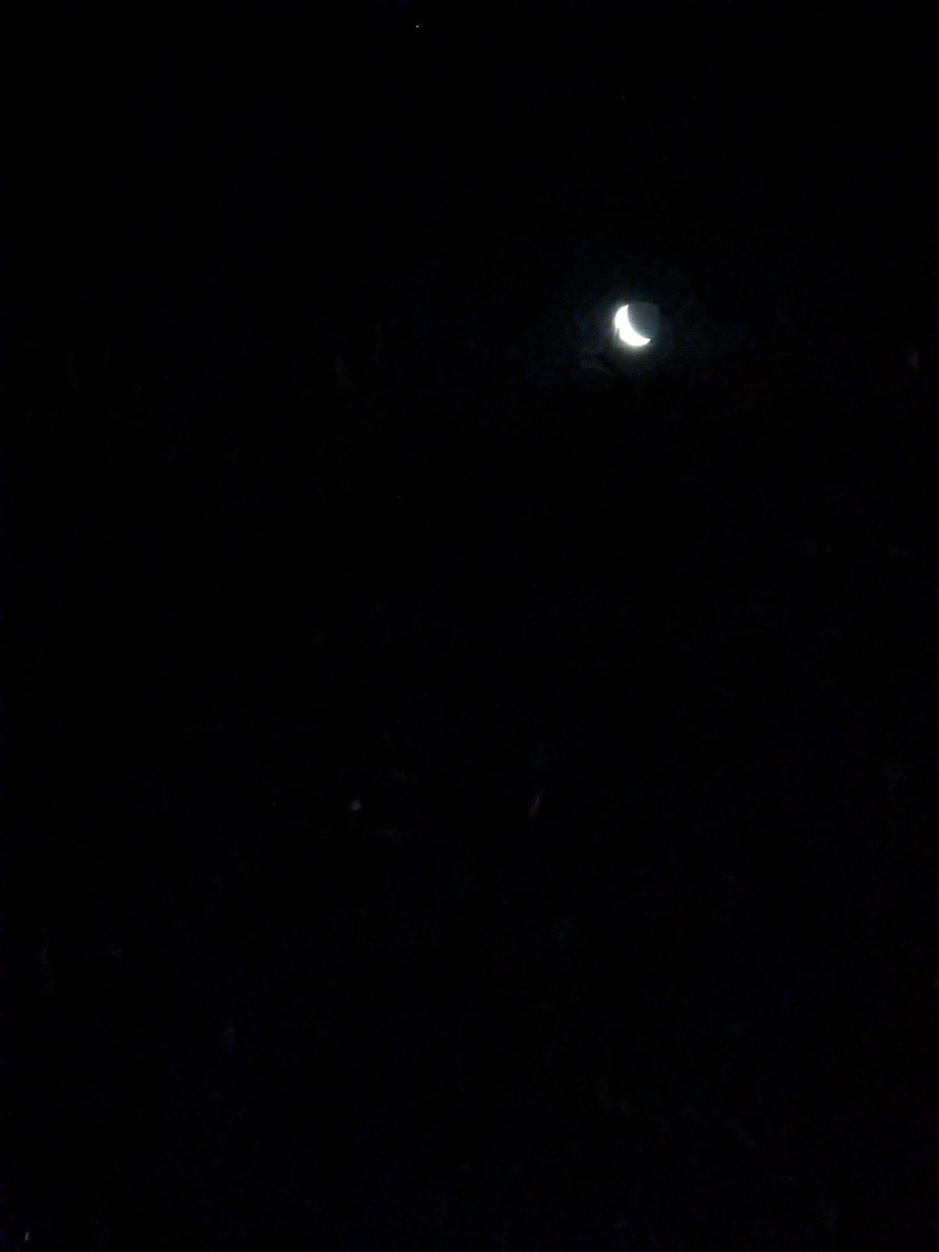 The Moon over Phillip, Australia — waxing crescent, Lunar Day 5