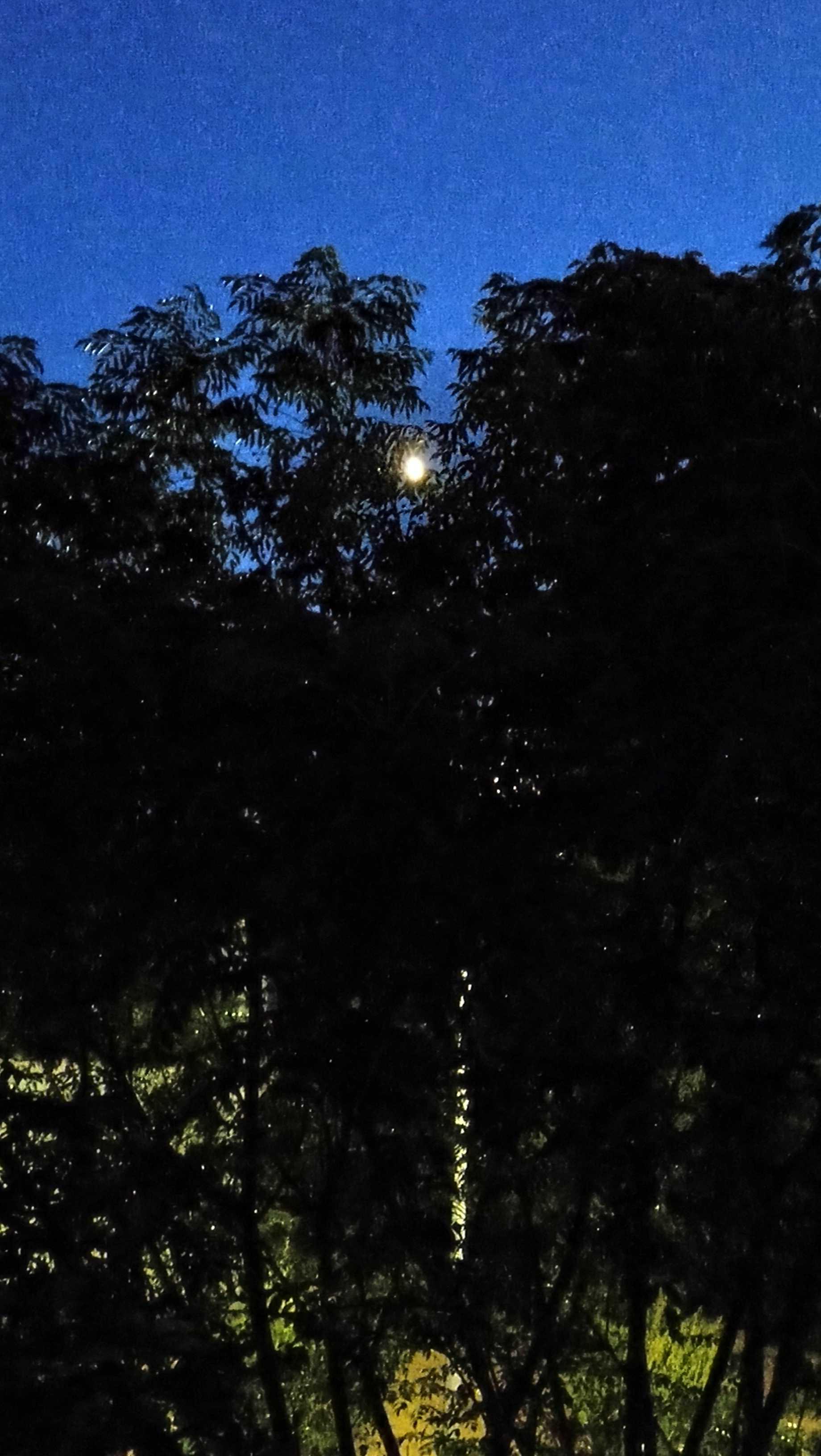 The Moon over Bragança, Portugal — first quarter, Lunar Day 9