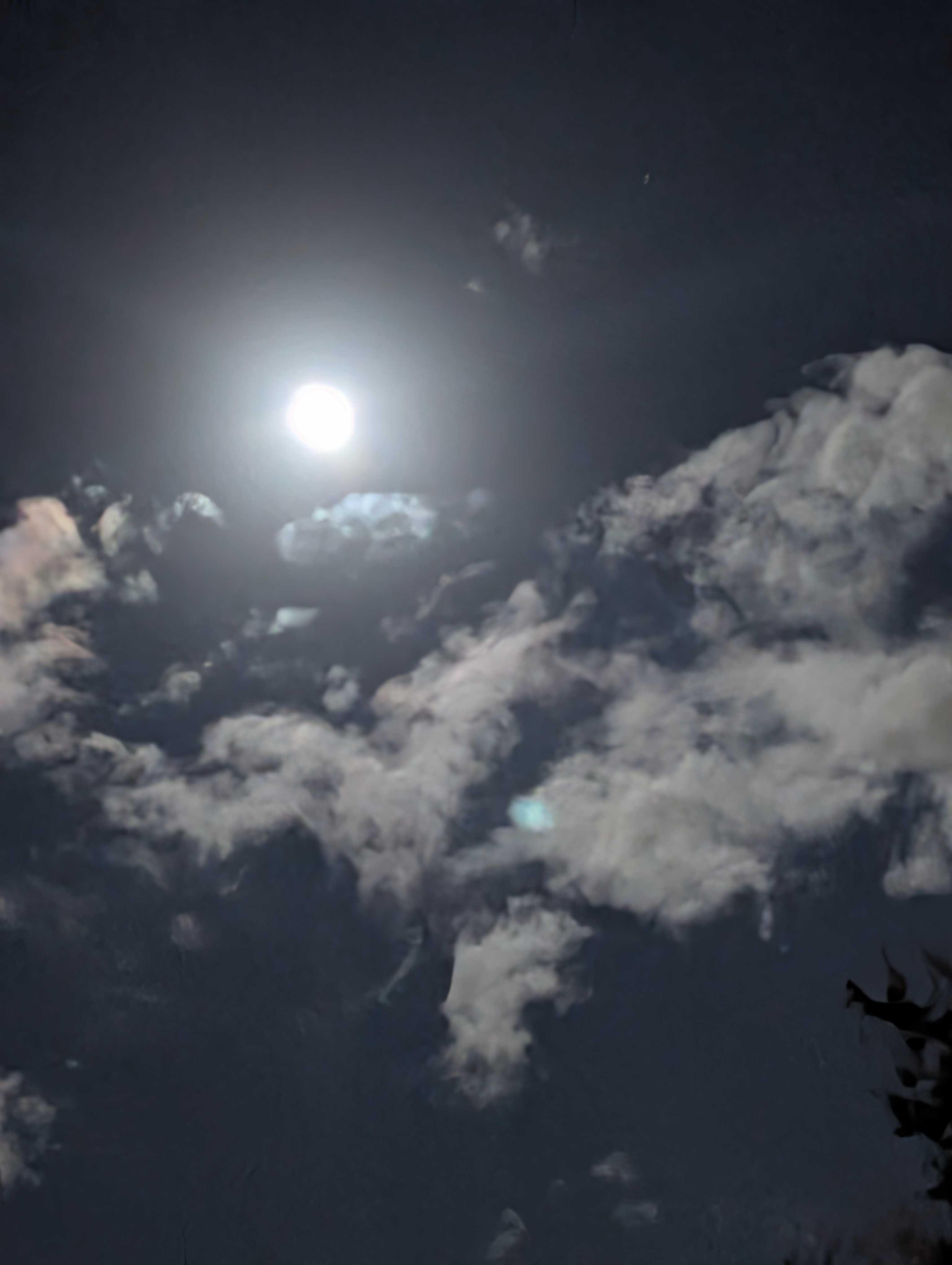 The Moon over Port St. Lucie, United States — waxing gibbous, Lunar Day 13
