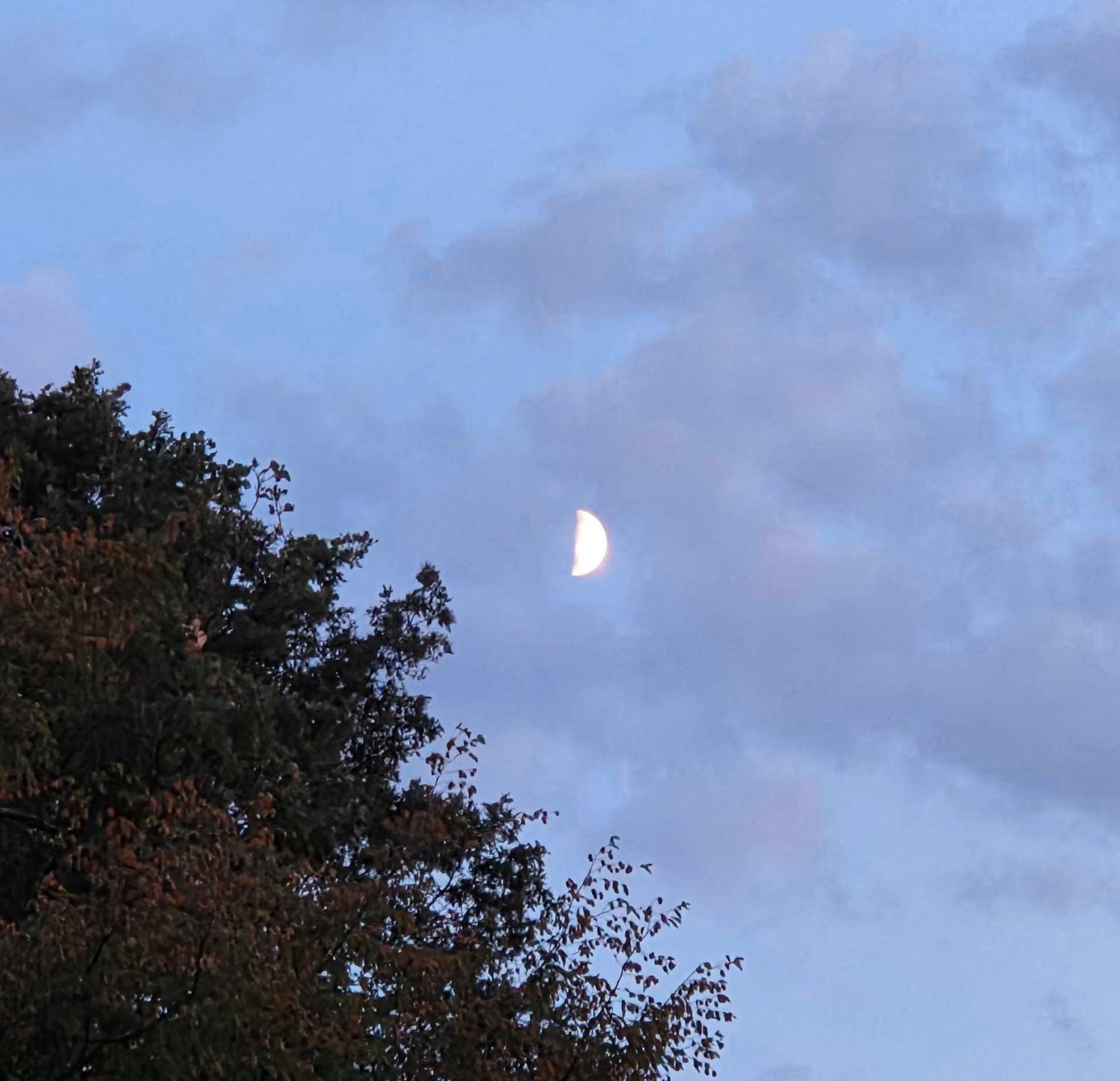 The Moon over Trieste, Italia — first quarter, Lunar Day 8