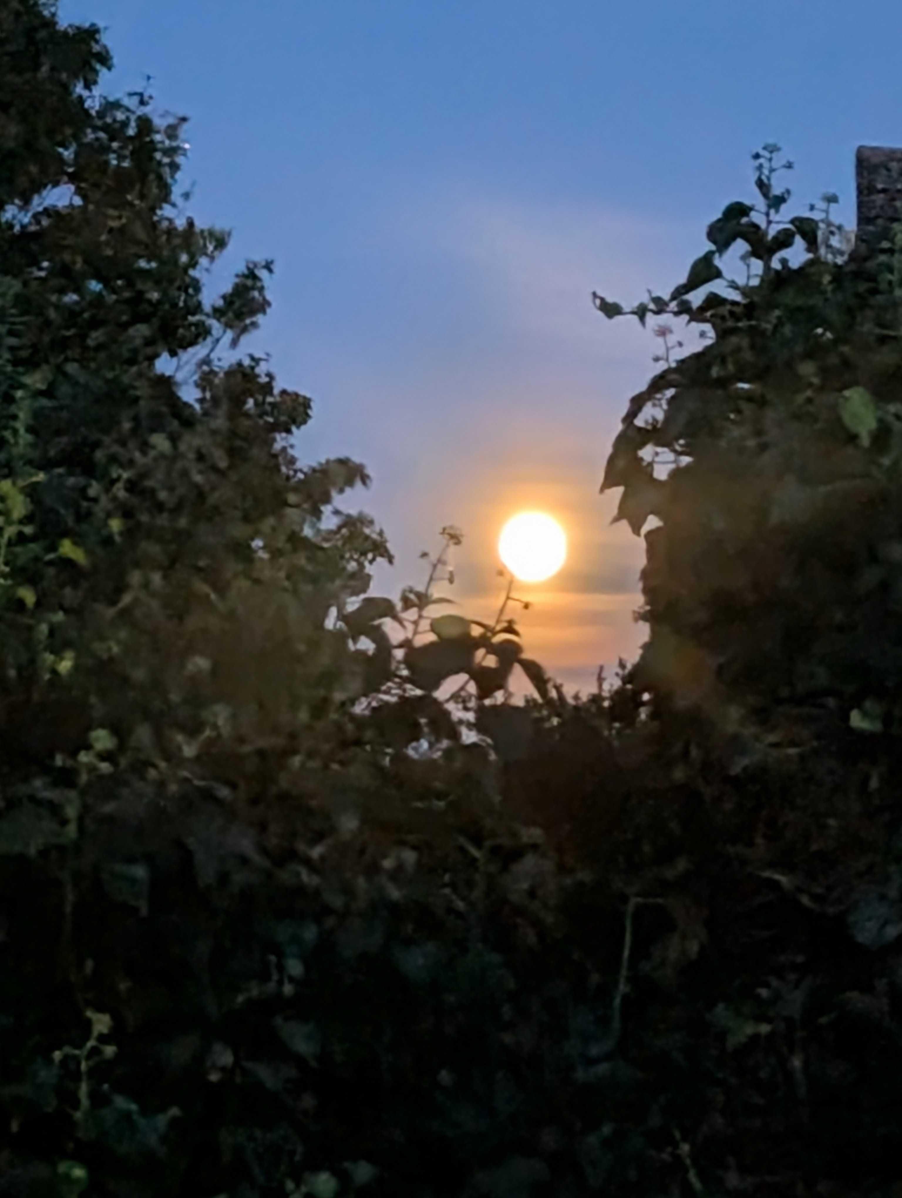 The Moon over United Kingdom — full moon, Lunar Day 15