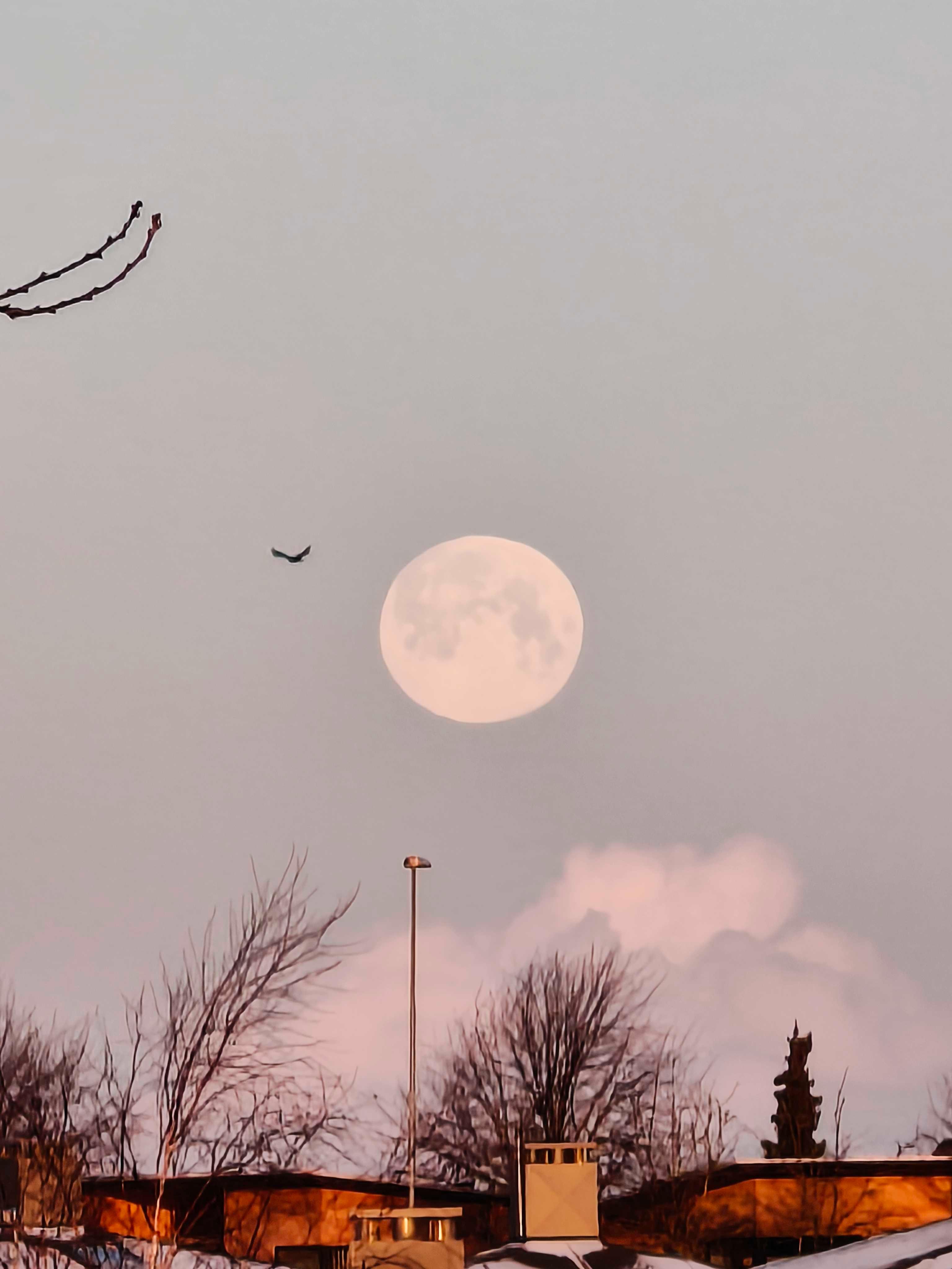The Moon over Mårslet, Denmark — full moon, Lunar Day 15