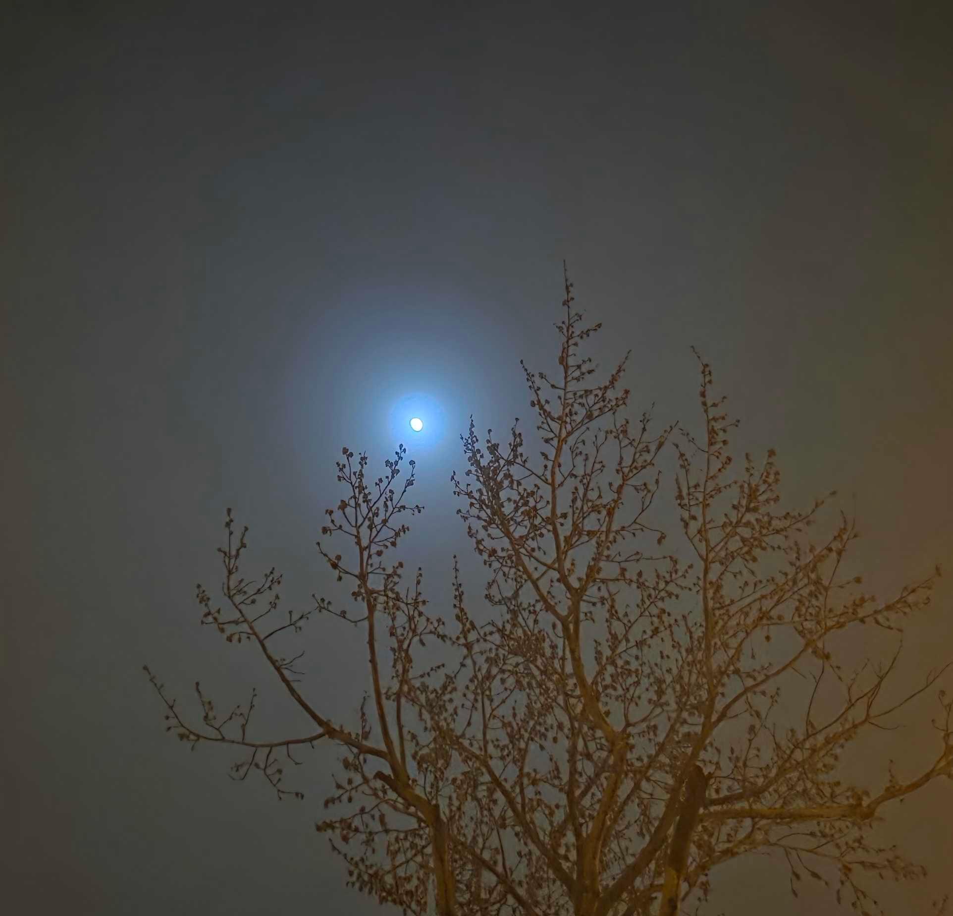 The Moon over Trieste, Italia — waxing gibbous, Lunar Day 11