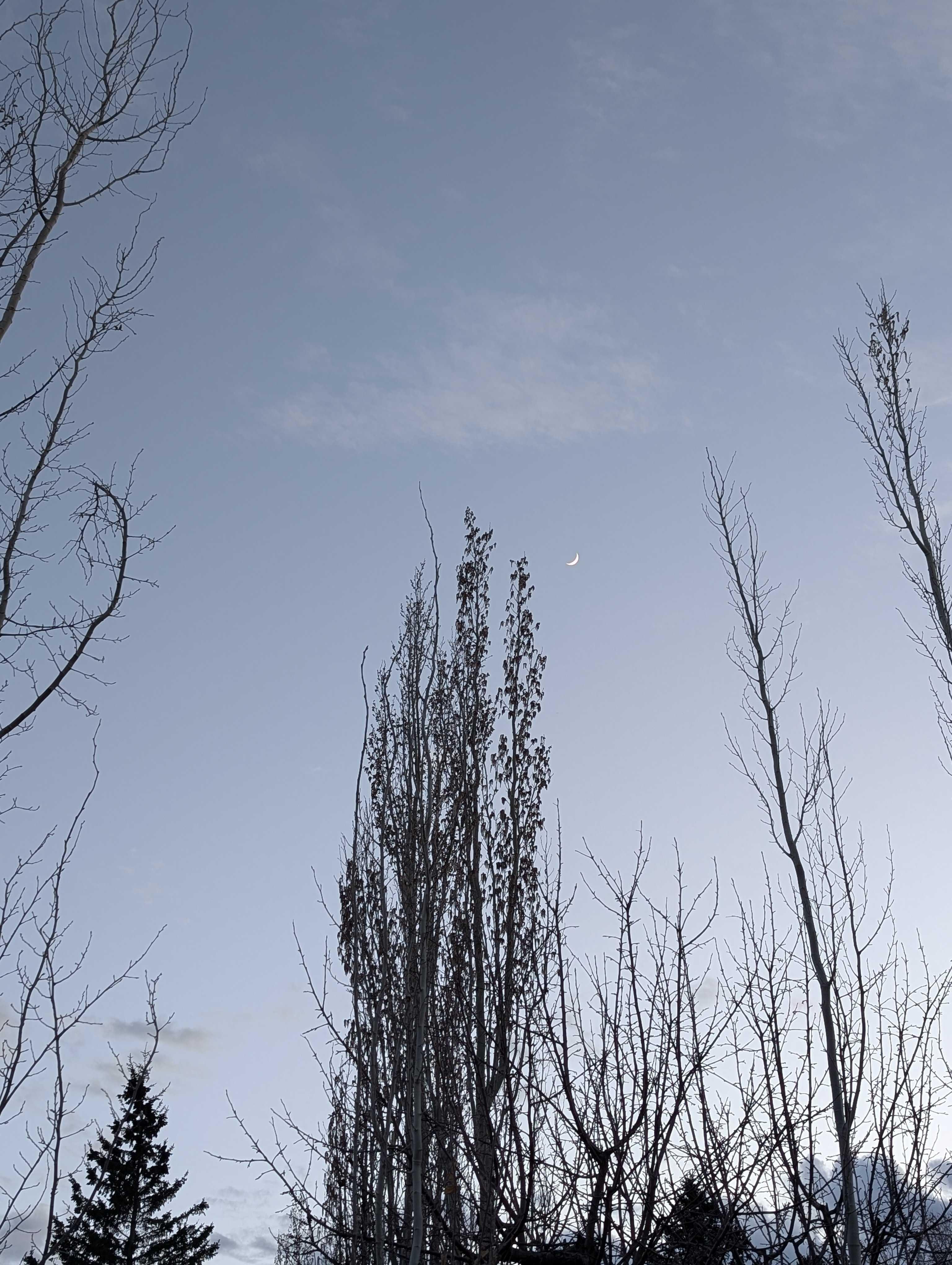 The Moon over Edmonton, Canada — waxing crescent, Lunar Day 5