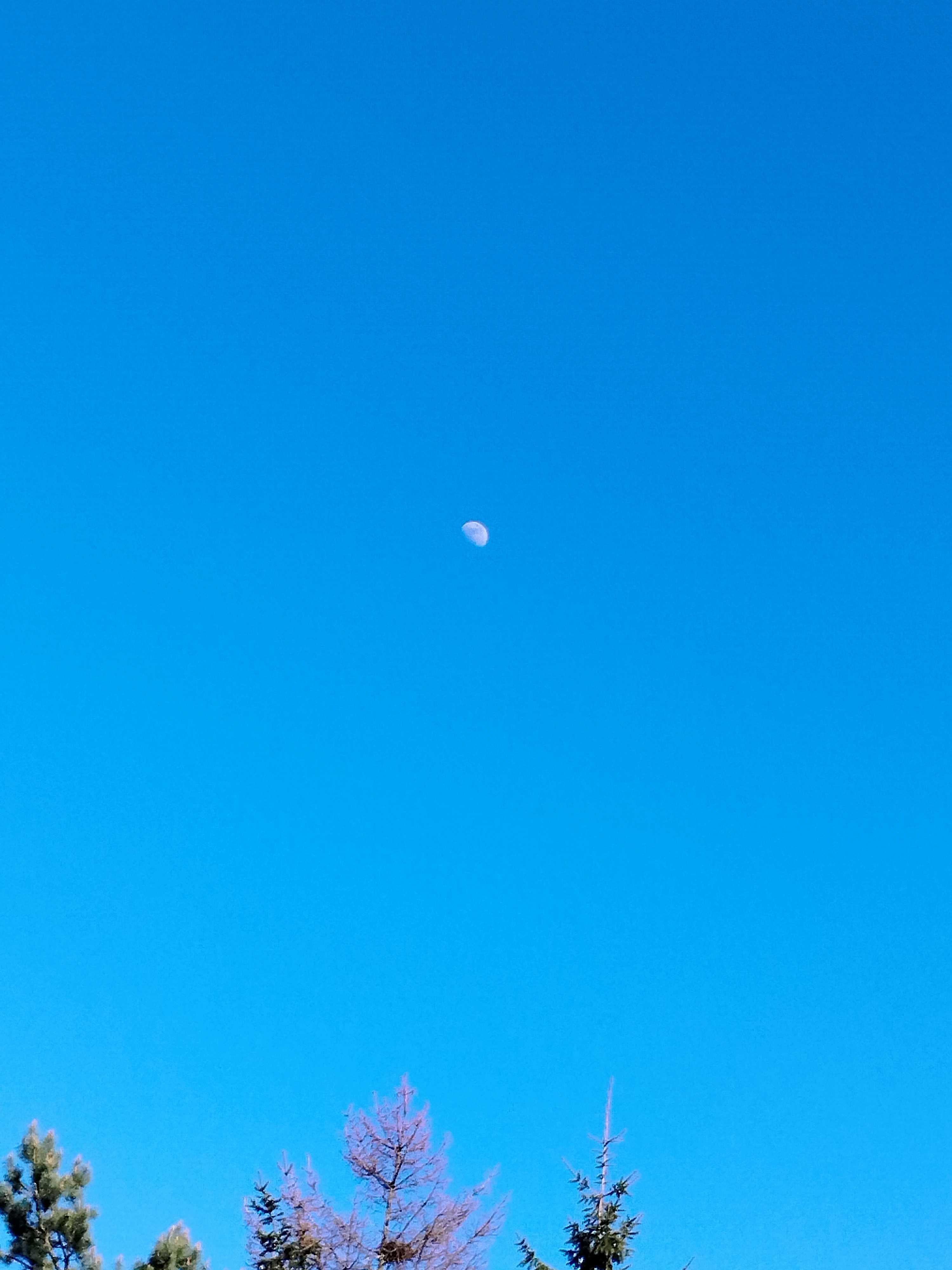 The Moon over Englewood, Stany Zjednoczone — waxing gibbous, Lunar Day 10
