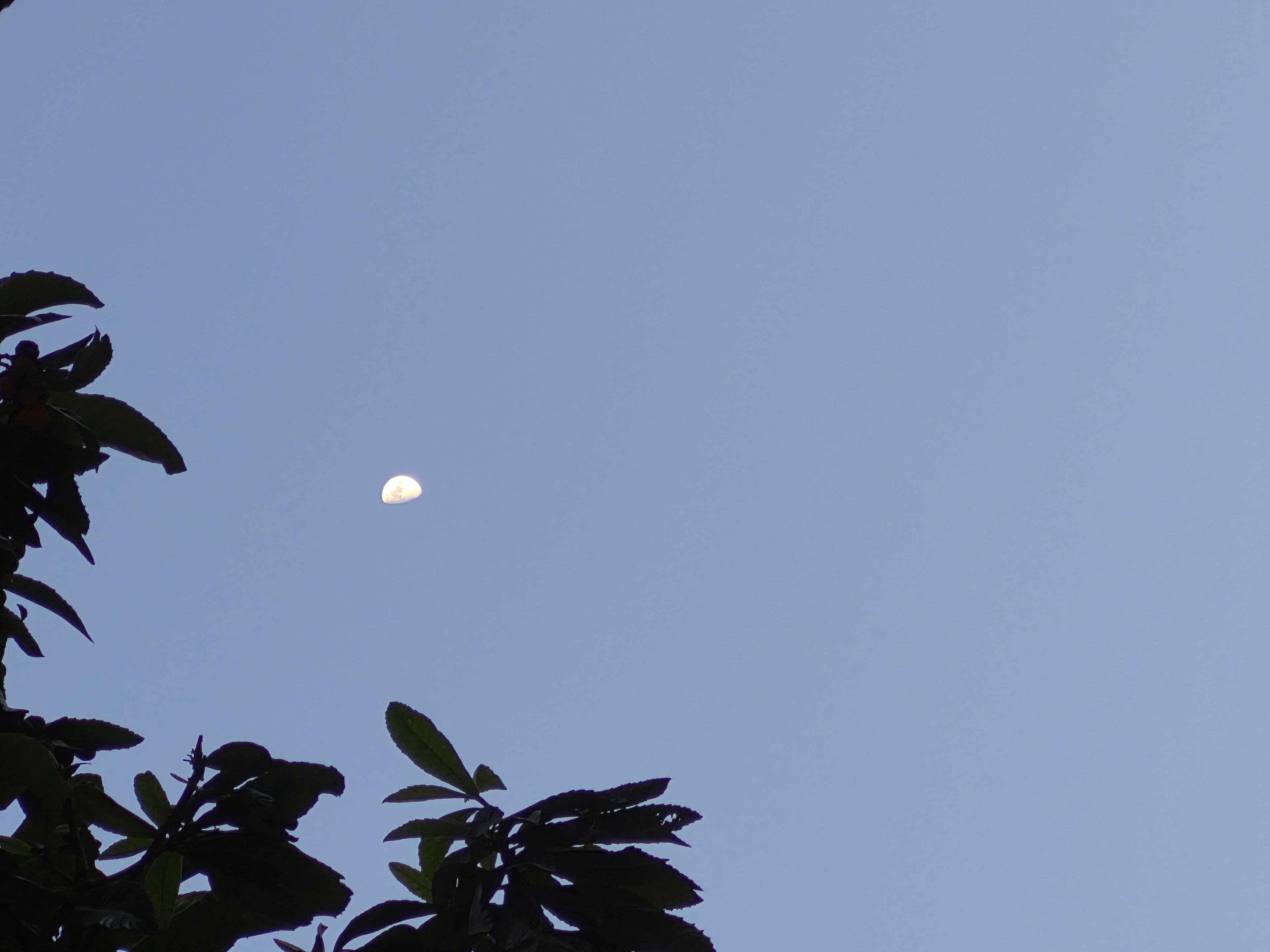 The Moon over Türkiye — first quarter, Lunar Day 9
