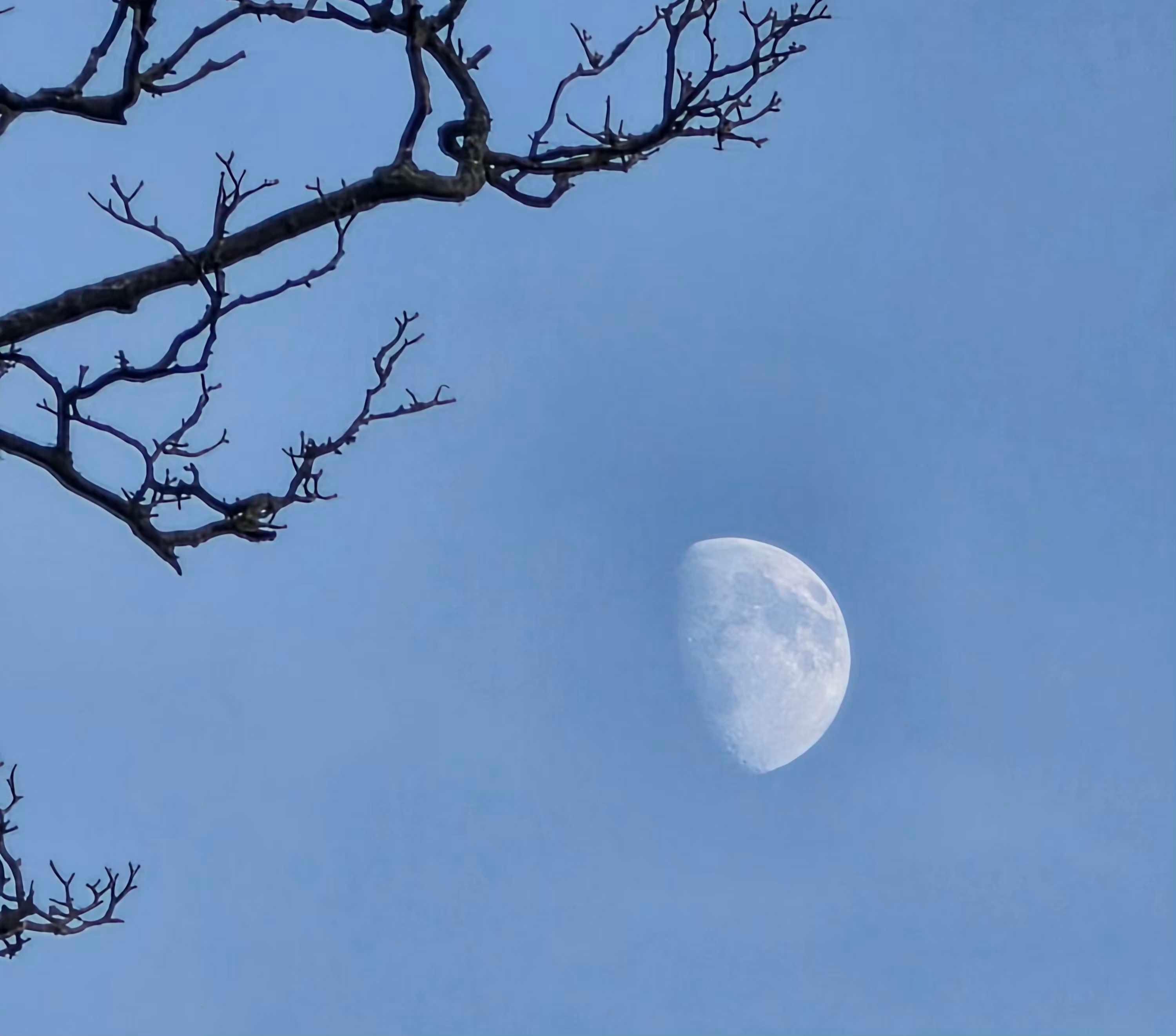 The Moon over United Kingdom — waxing gibbous, Lunar Day 11