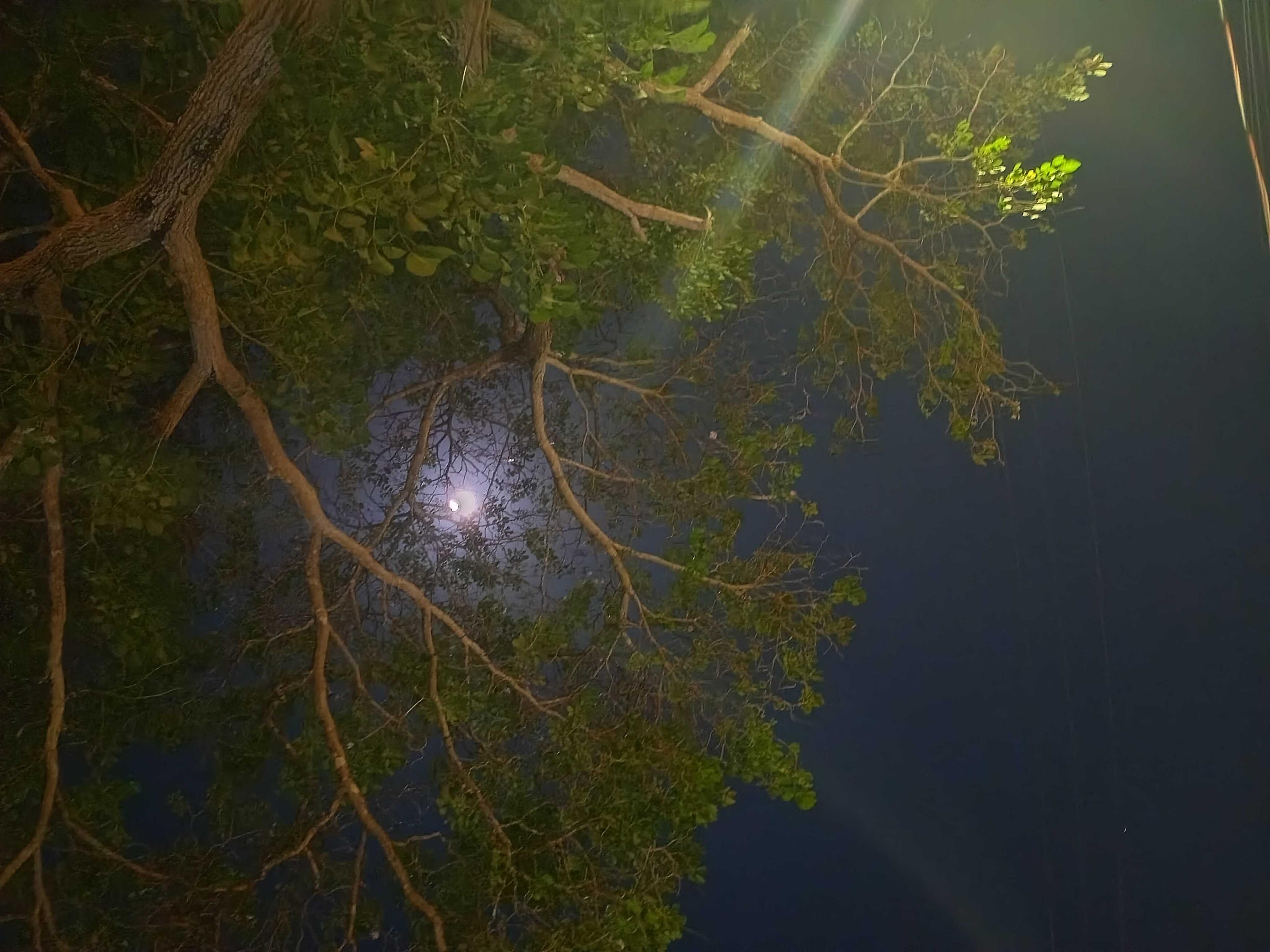 The Moon over Brasil — waning gibbous, Lunar Day 20