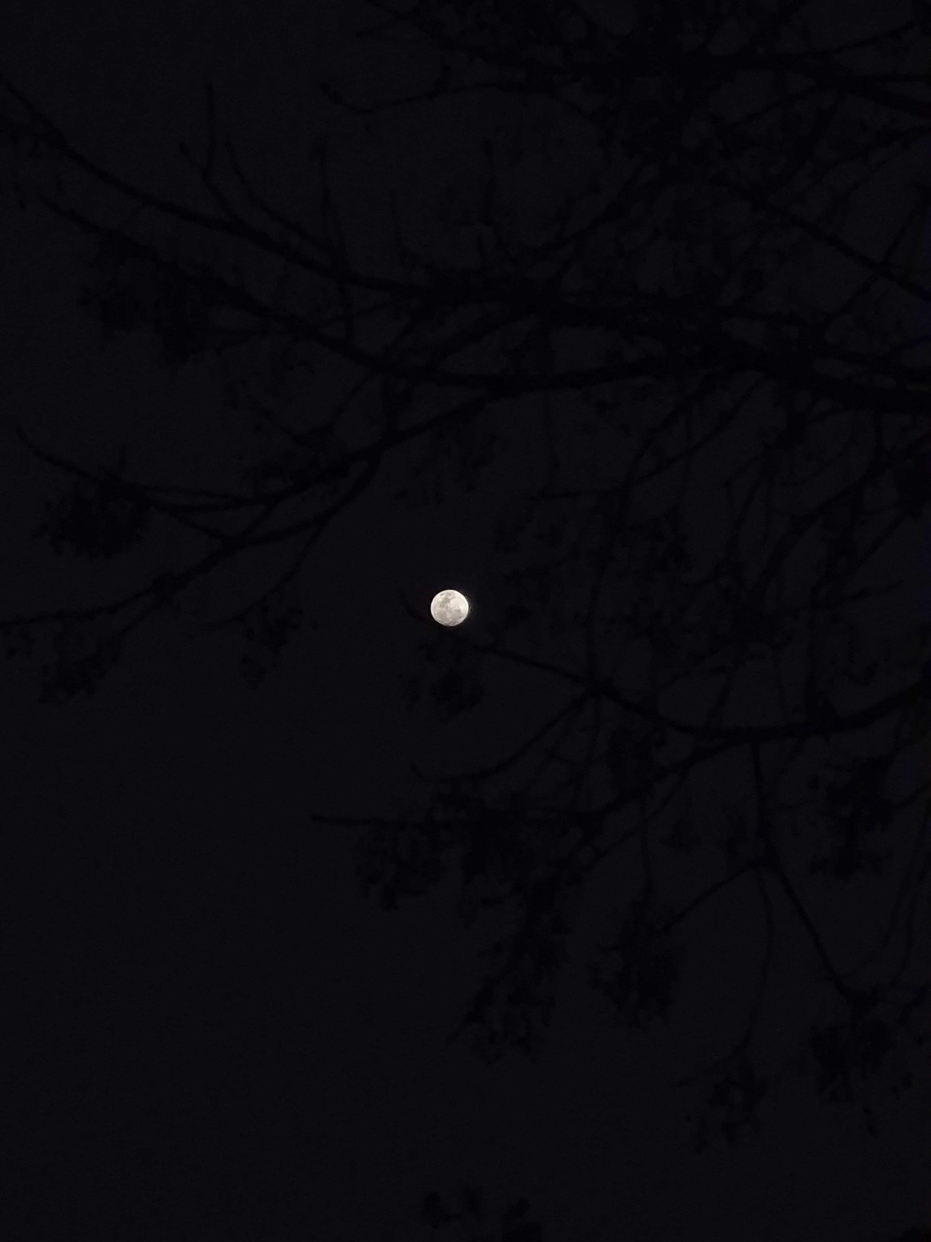 The Moon over Brasil — full moon, Lunar Day 15