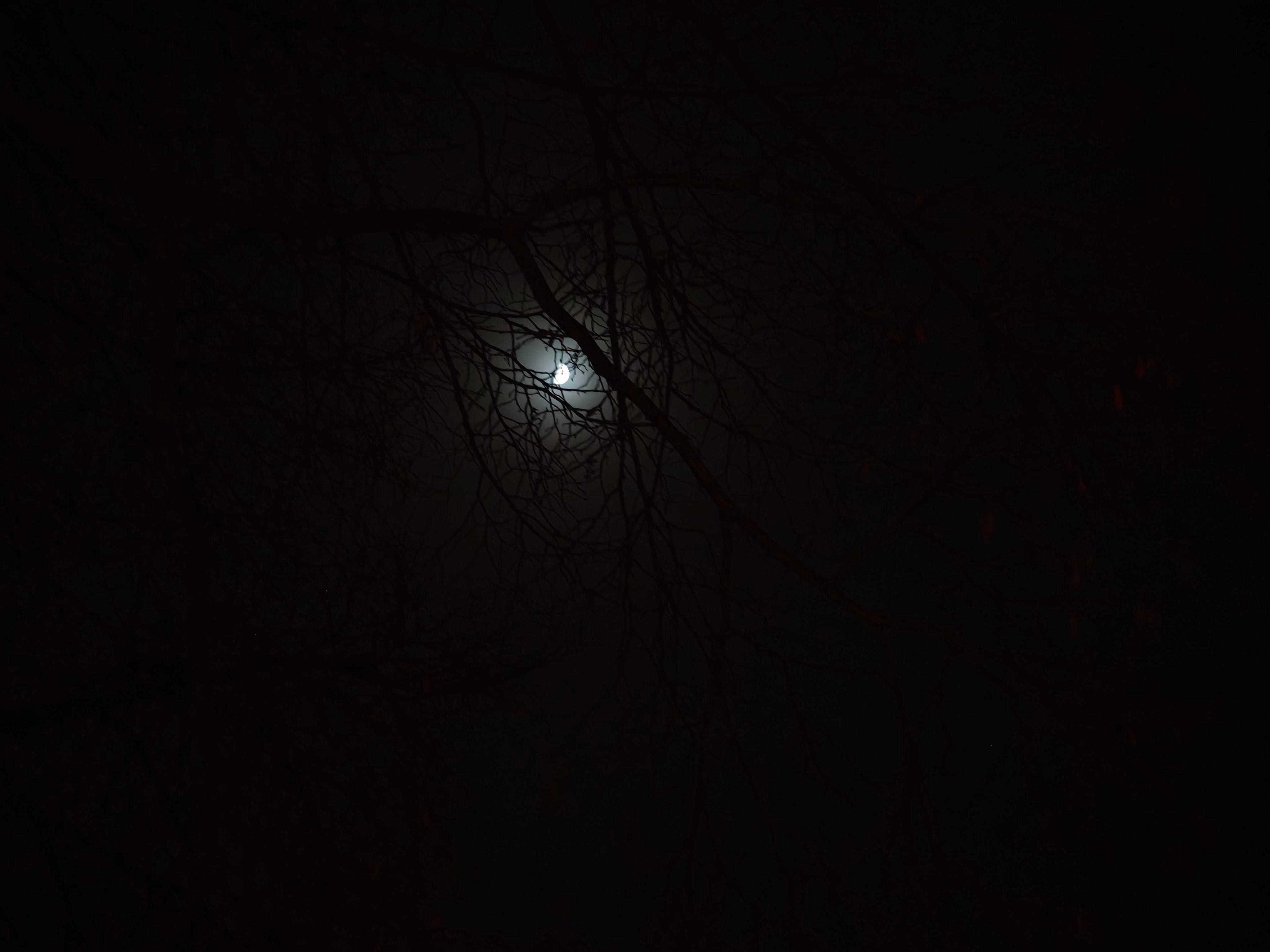 The Moon over Spenge, Deutschland — first quarter, Lunar Day 10