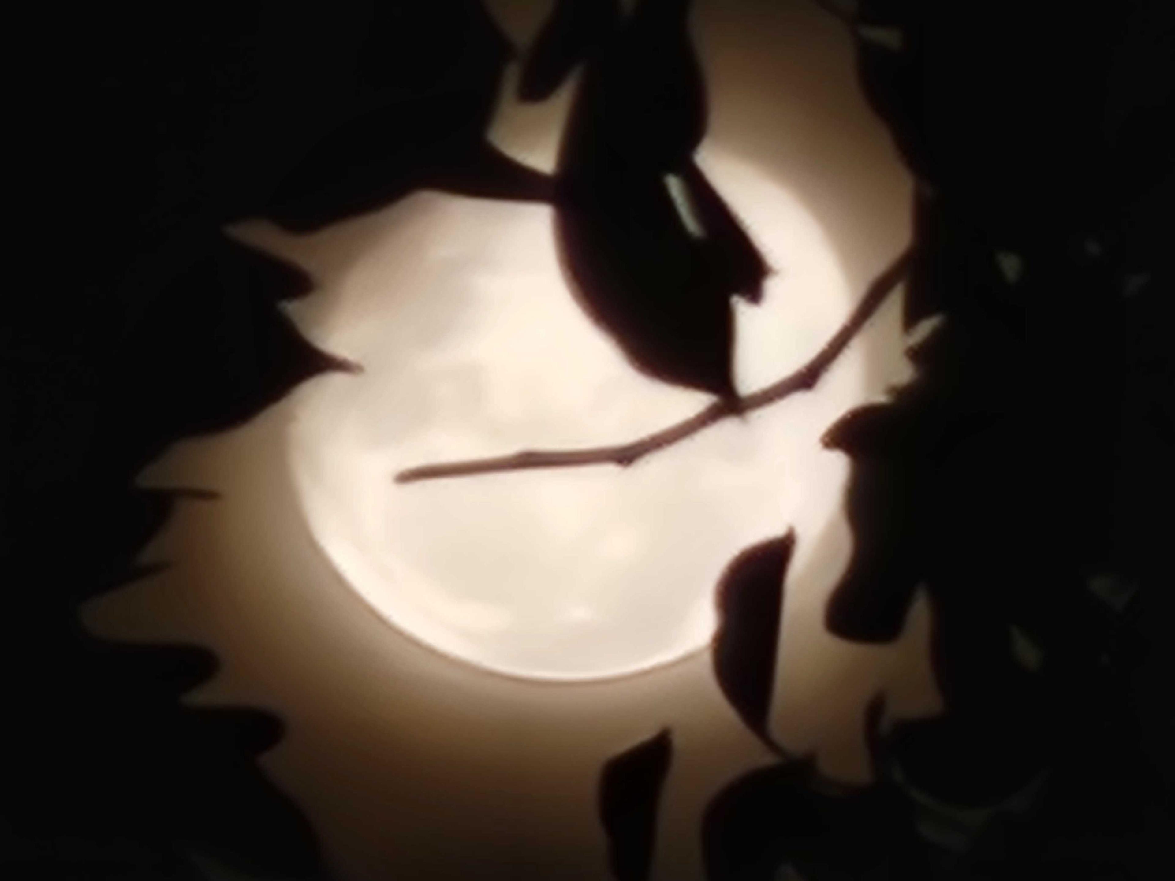 The Moon over Tucson, United States — waning gibbous, Lunar Day 19