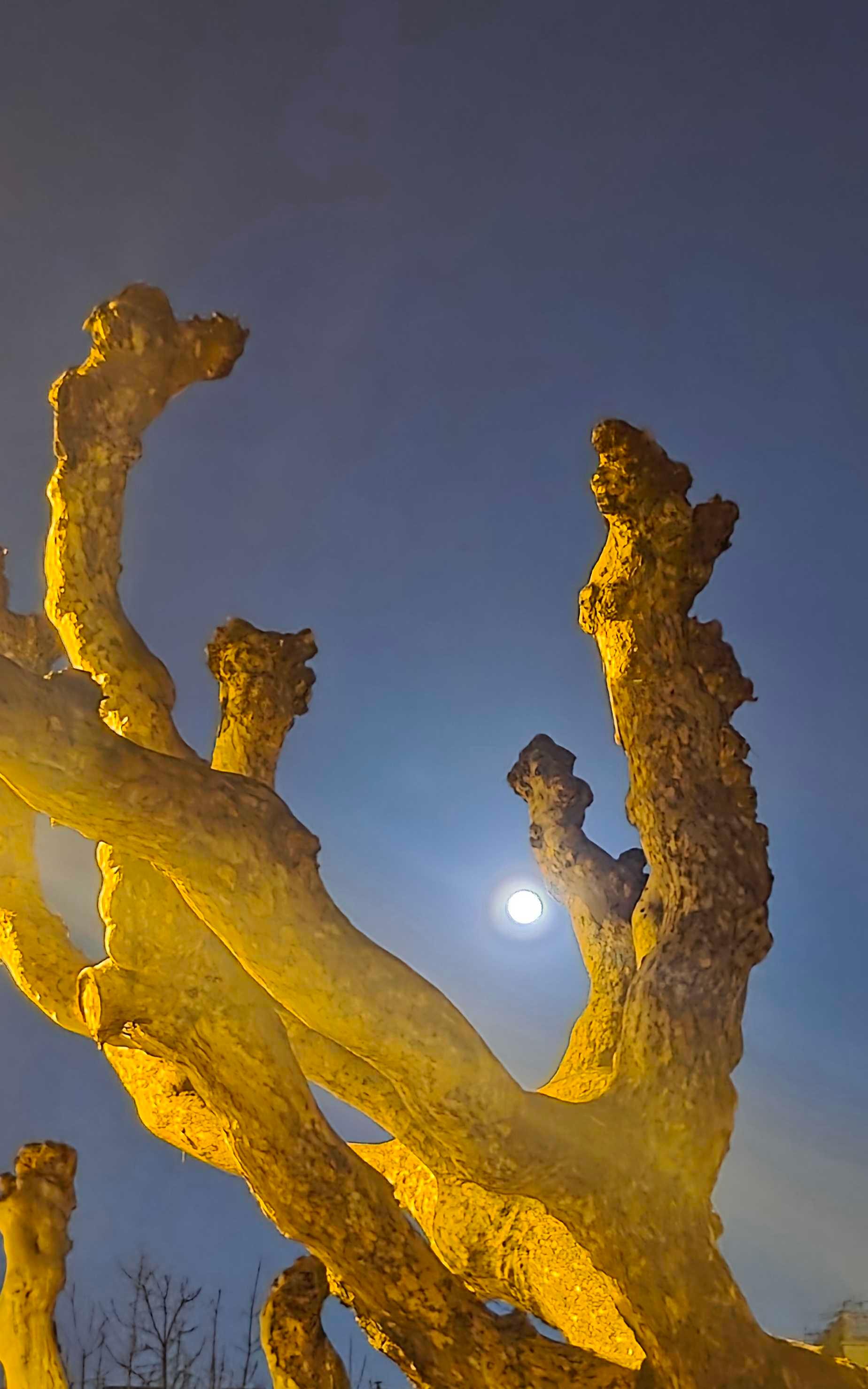 The Moon over Trieste, Italia — full moon, Lunar Day 15