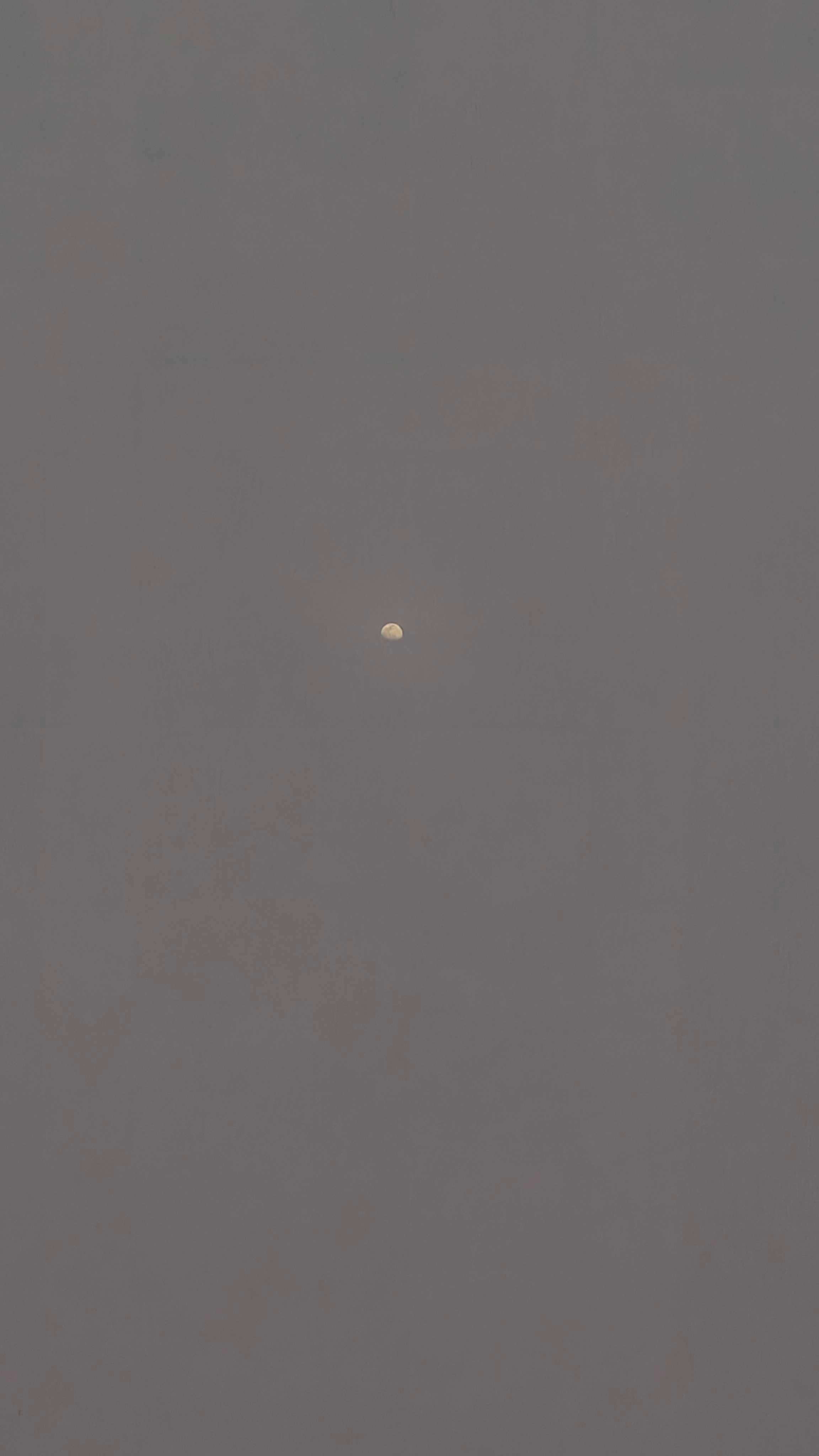 The Moon over Puducherry, India — waxing gibbous, Lunar Day 11