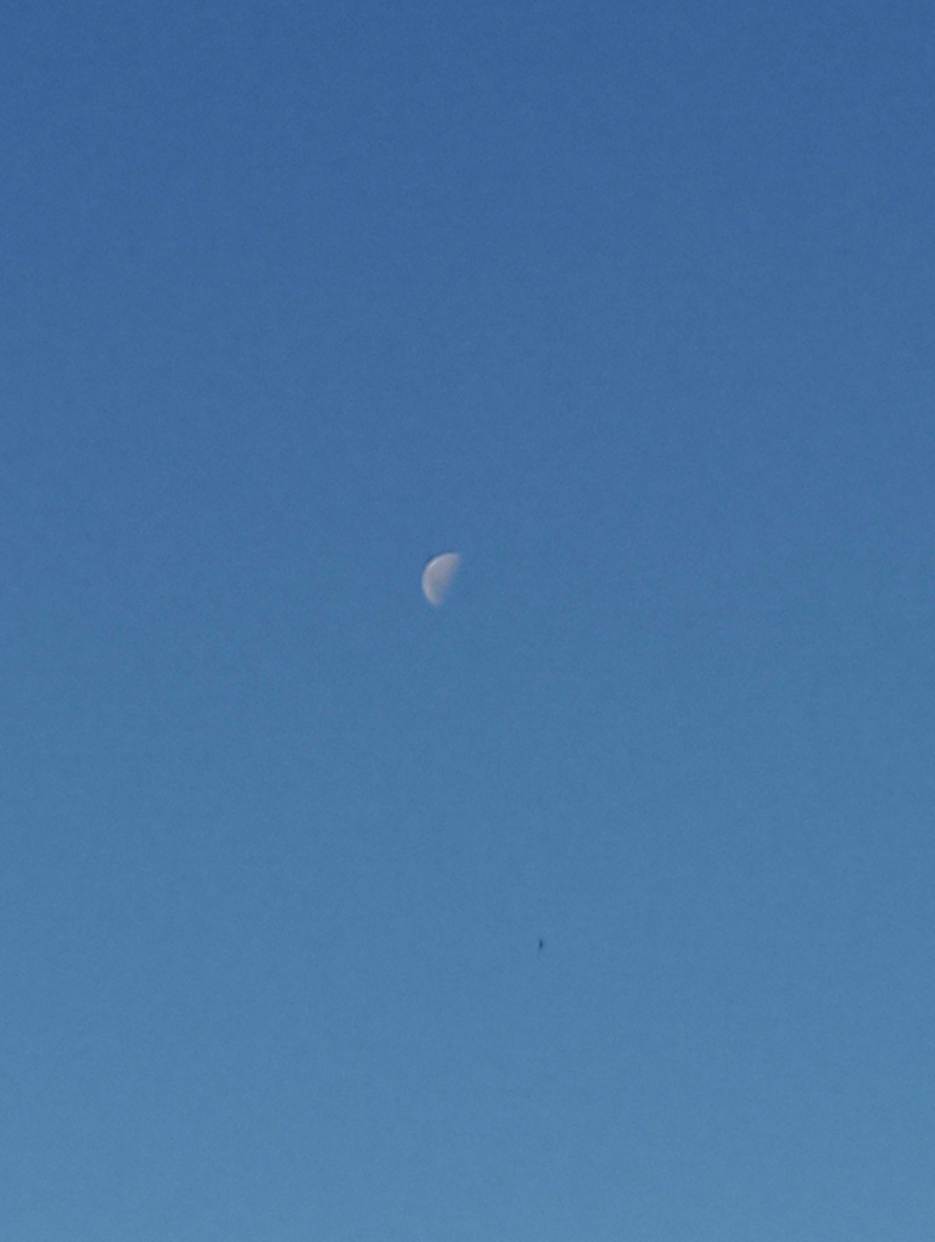The Moon over Argentina — first quarter, Lunar Day 8