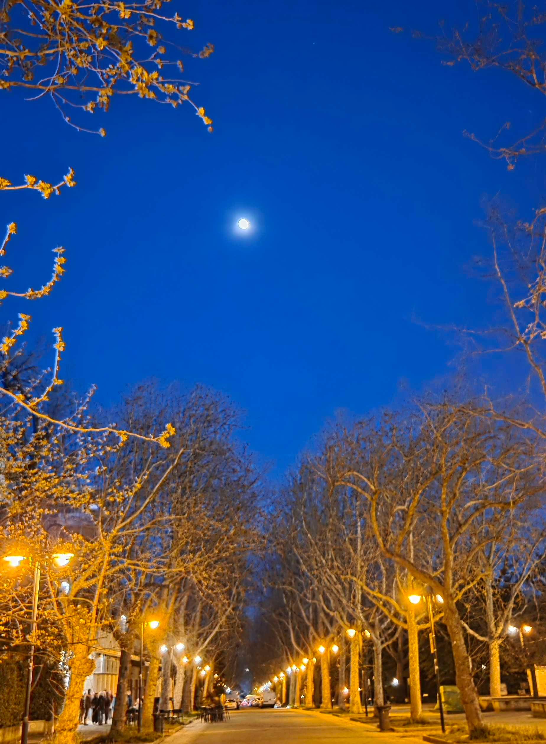 The Moon over Trieste, Italia — waxing gibbous, Lunar Day 13