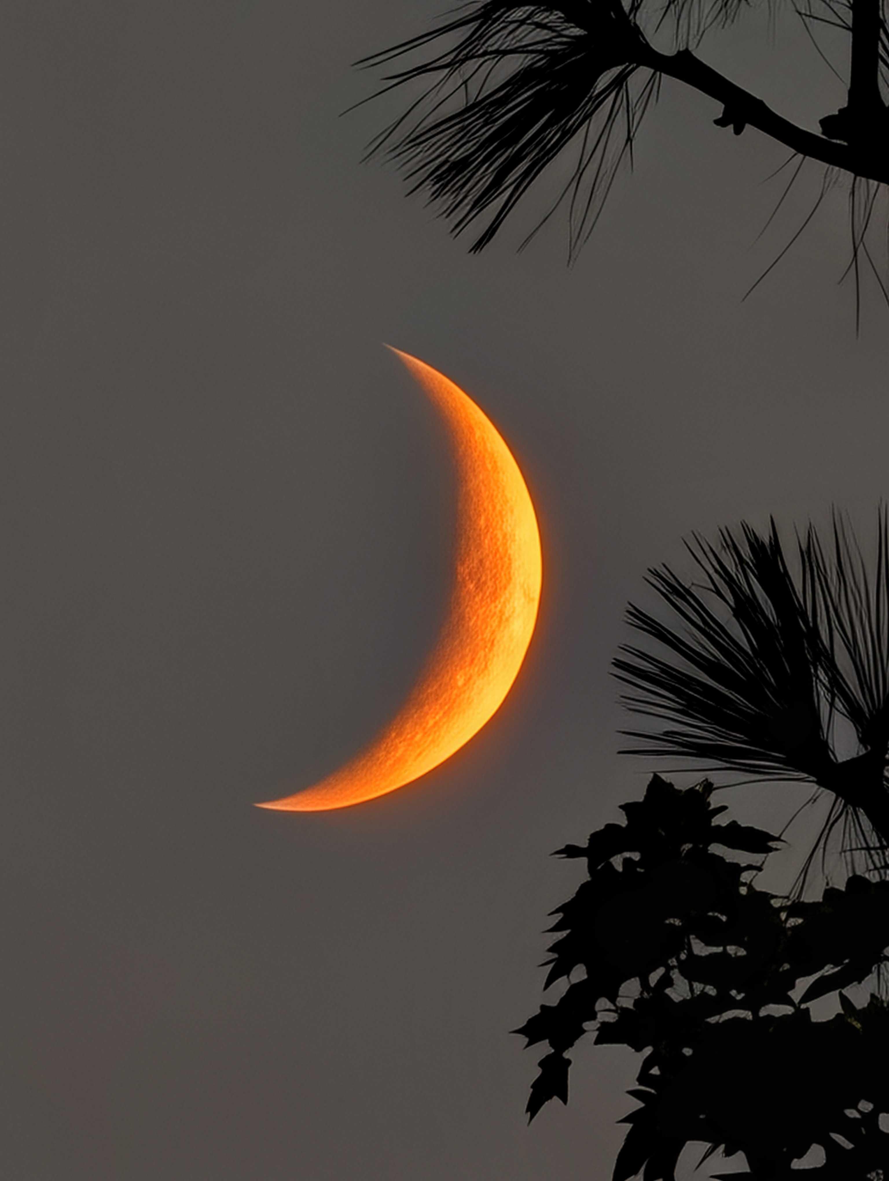 The Moon over Spokane, United States — waxing crescent, Lunar Day 5