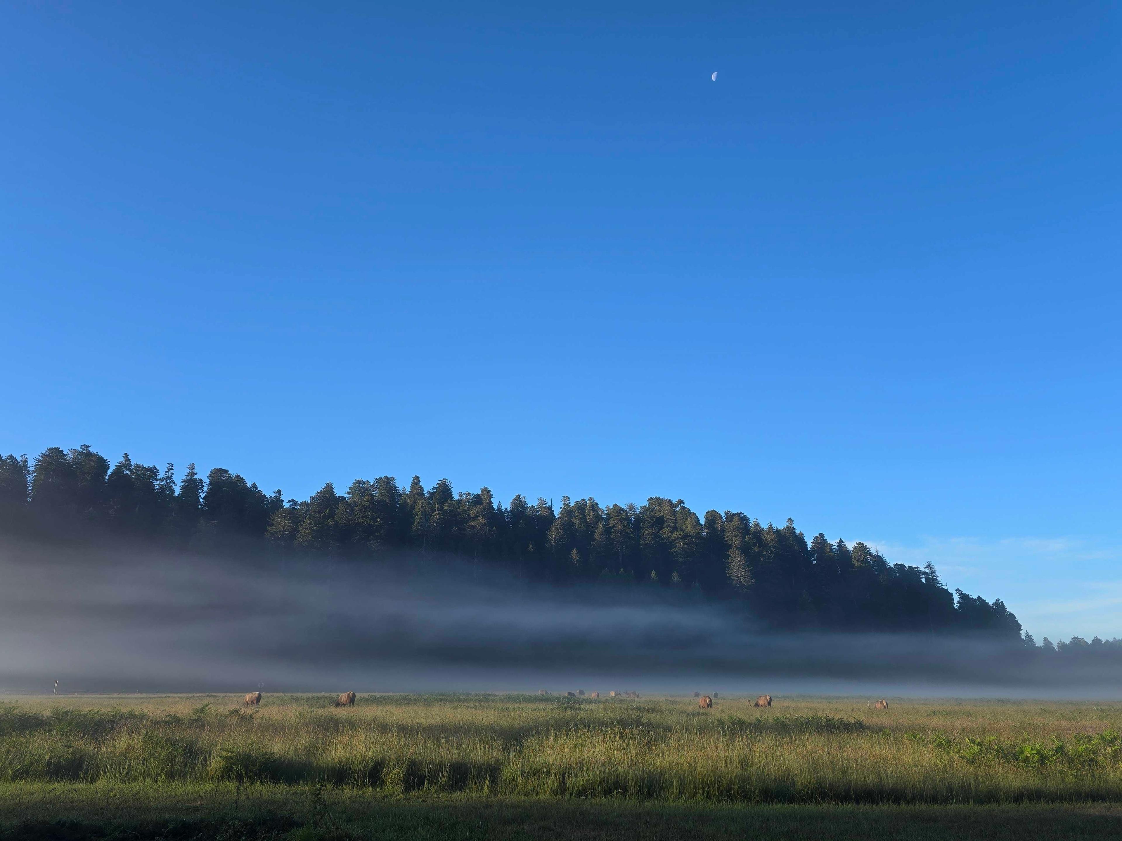 The Moon over Orick, United States — last quarter, Lunar Day 21
