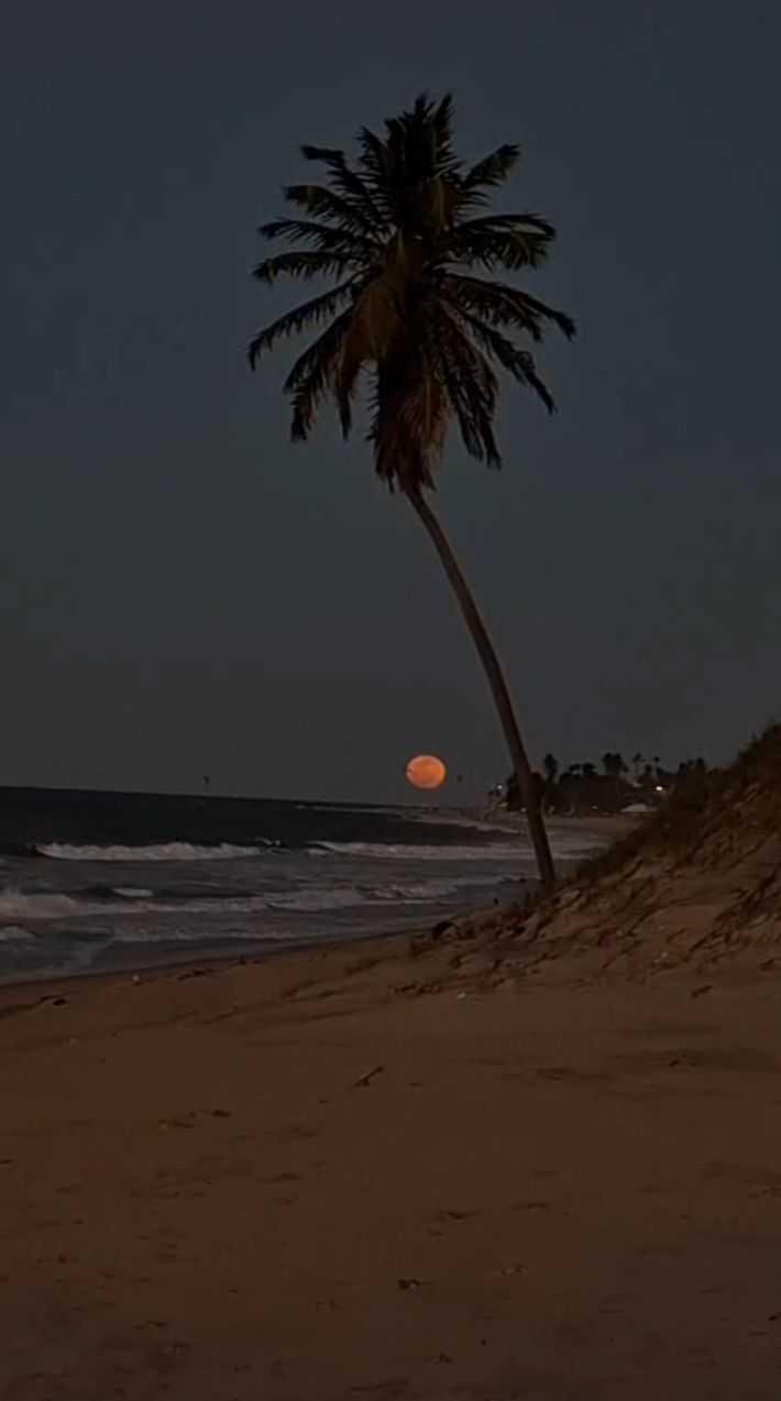 The Moon over Brasil — waning gibbous, Lunar Day 18