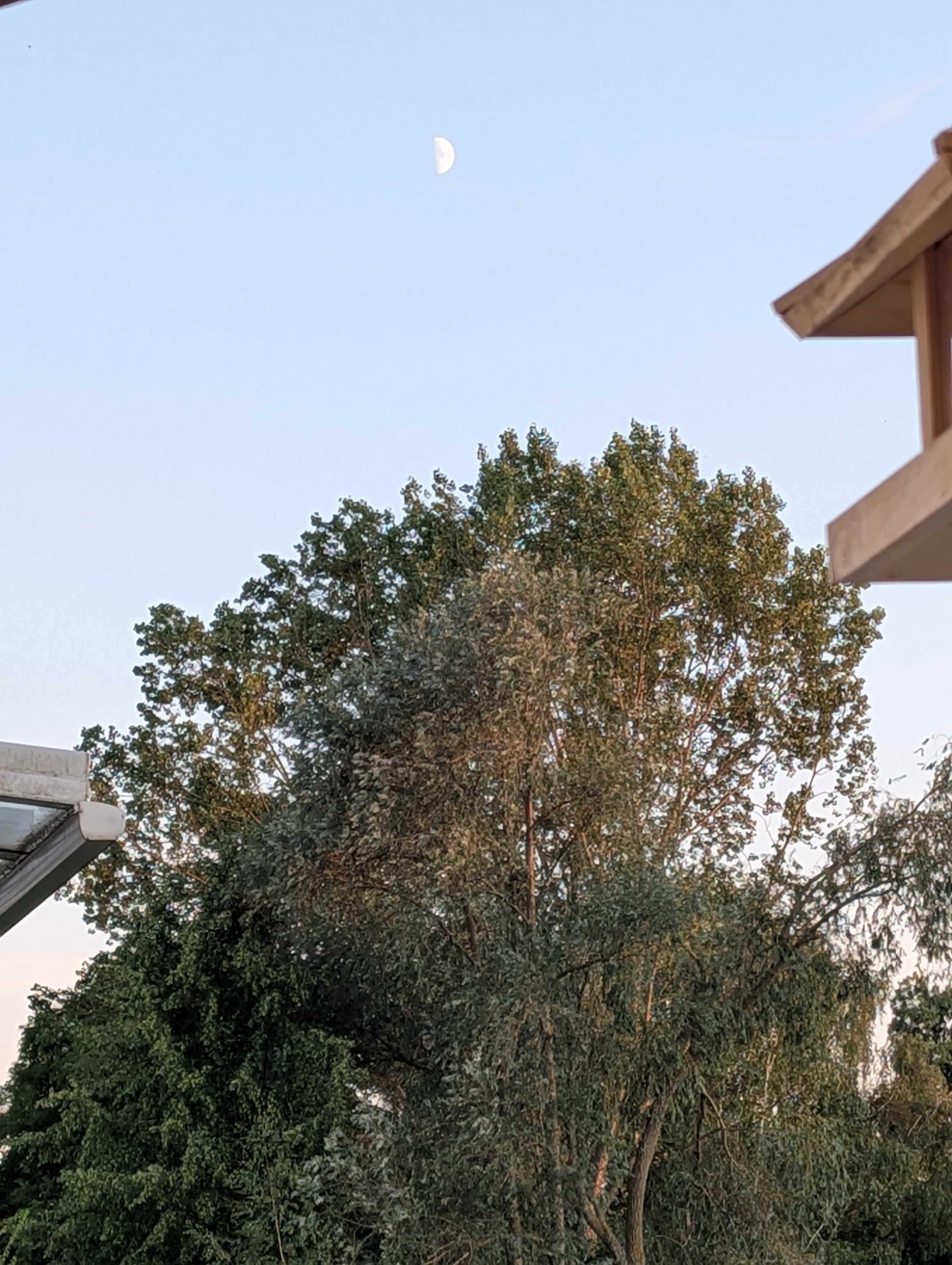 The Moon over Mühlhausen/Thüringen, Deutschland — first quarter, Lunar Day 8