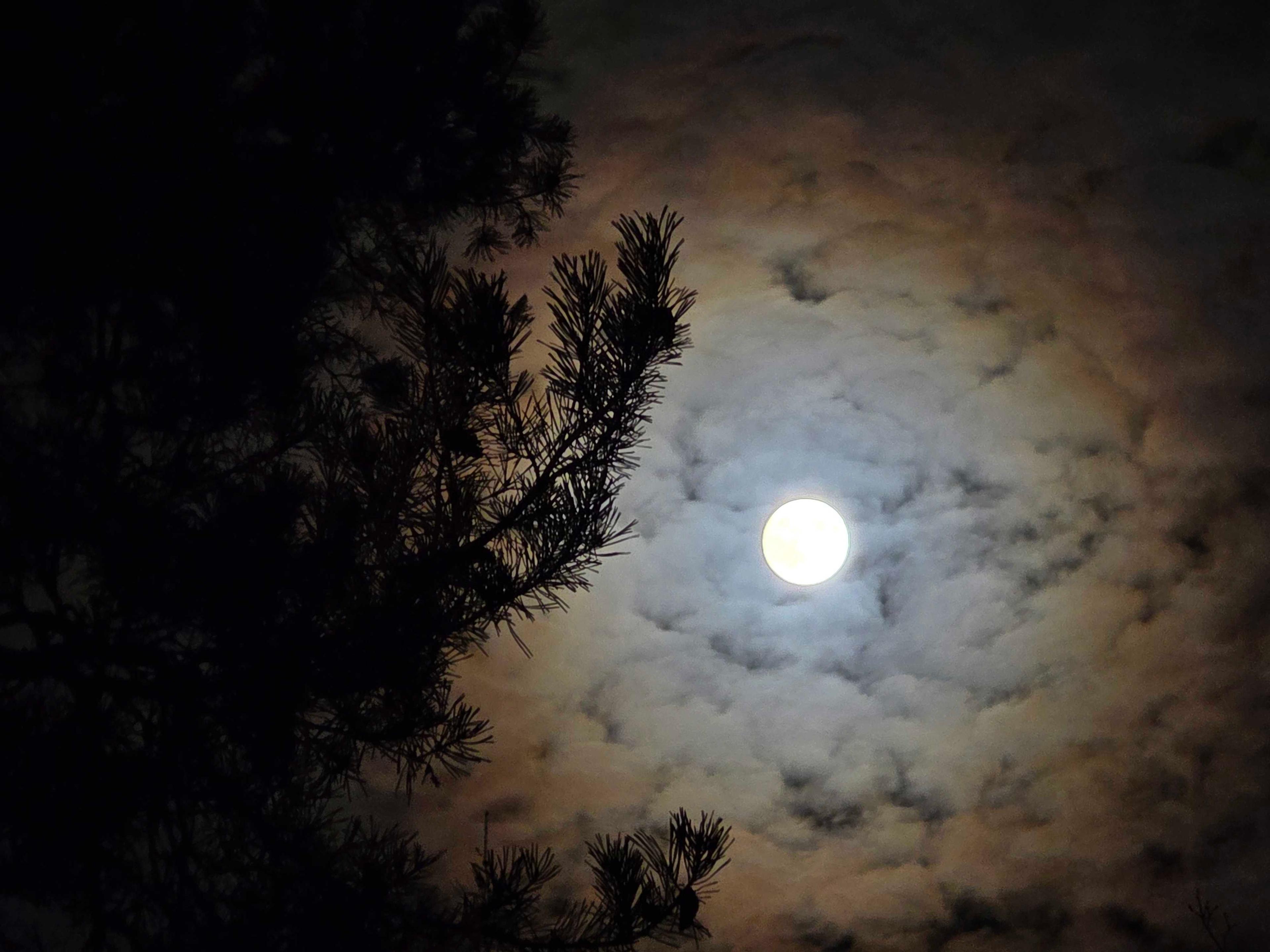 The Moon over Warszawa, Poland — full moon, Lunar Day 16