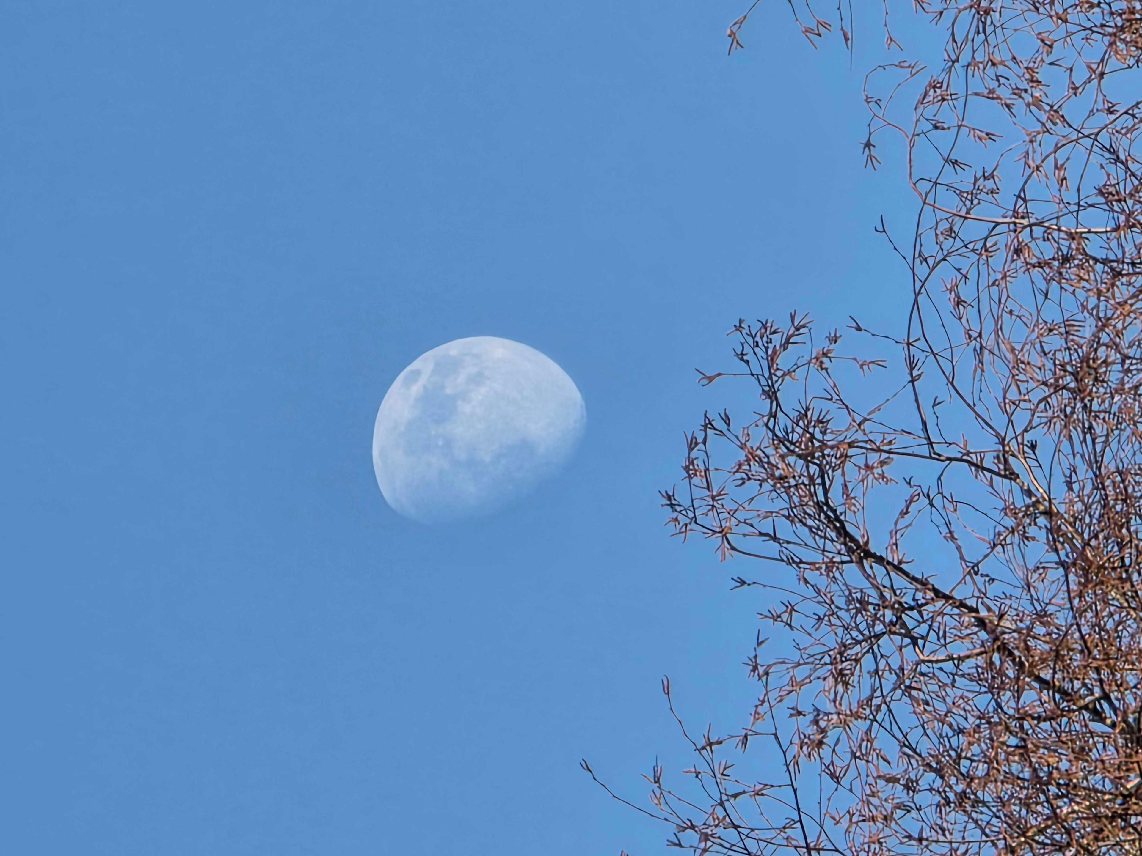 The Moon over Kierspe, Deutschland — waxing gibbous, Lunar Day 12