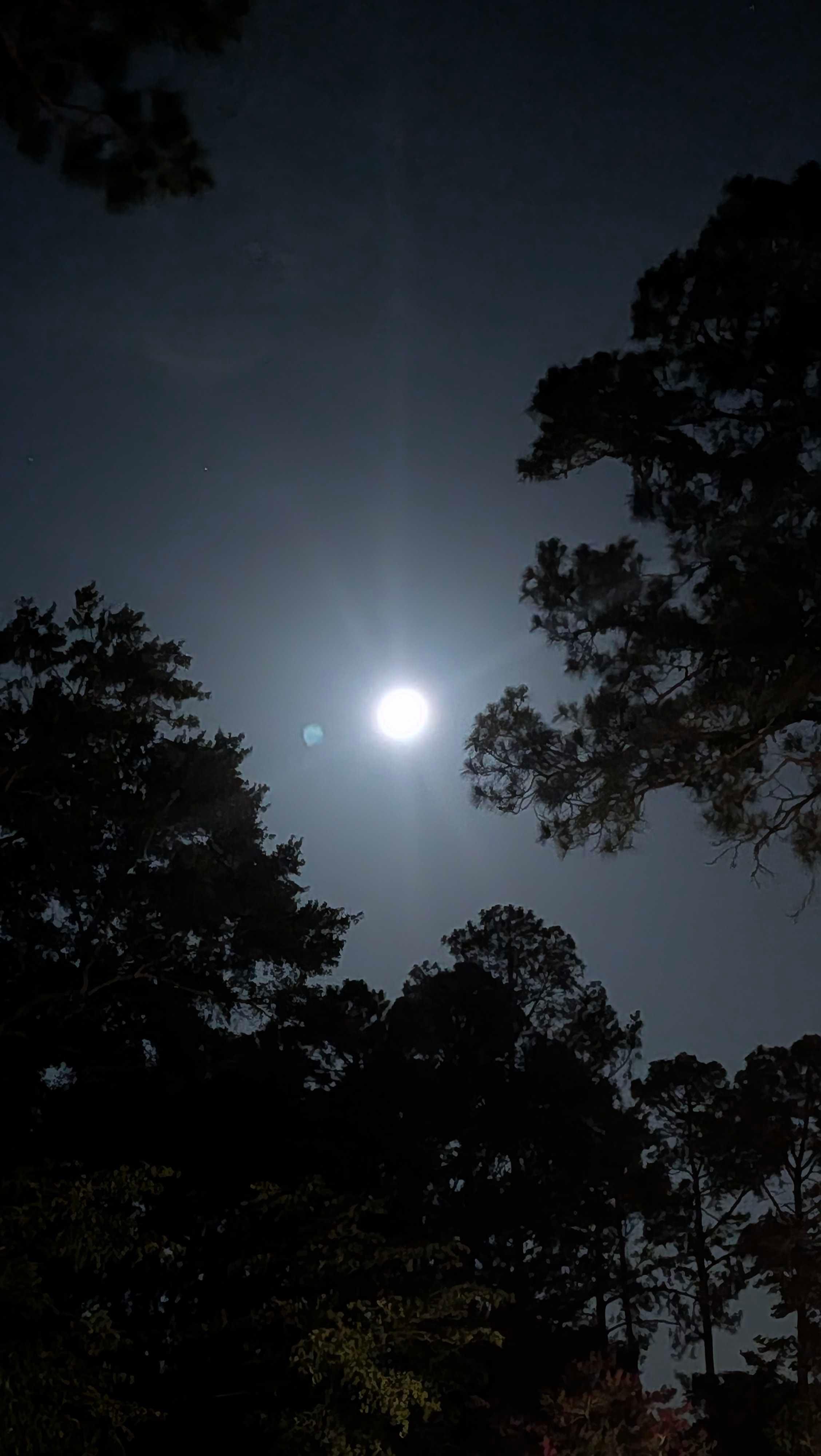The Moon over North Augusta, United States — full moon, Lunar Day 15