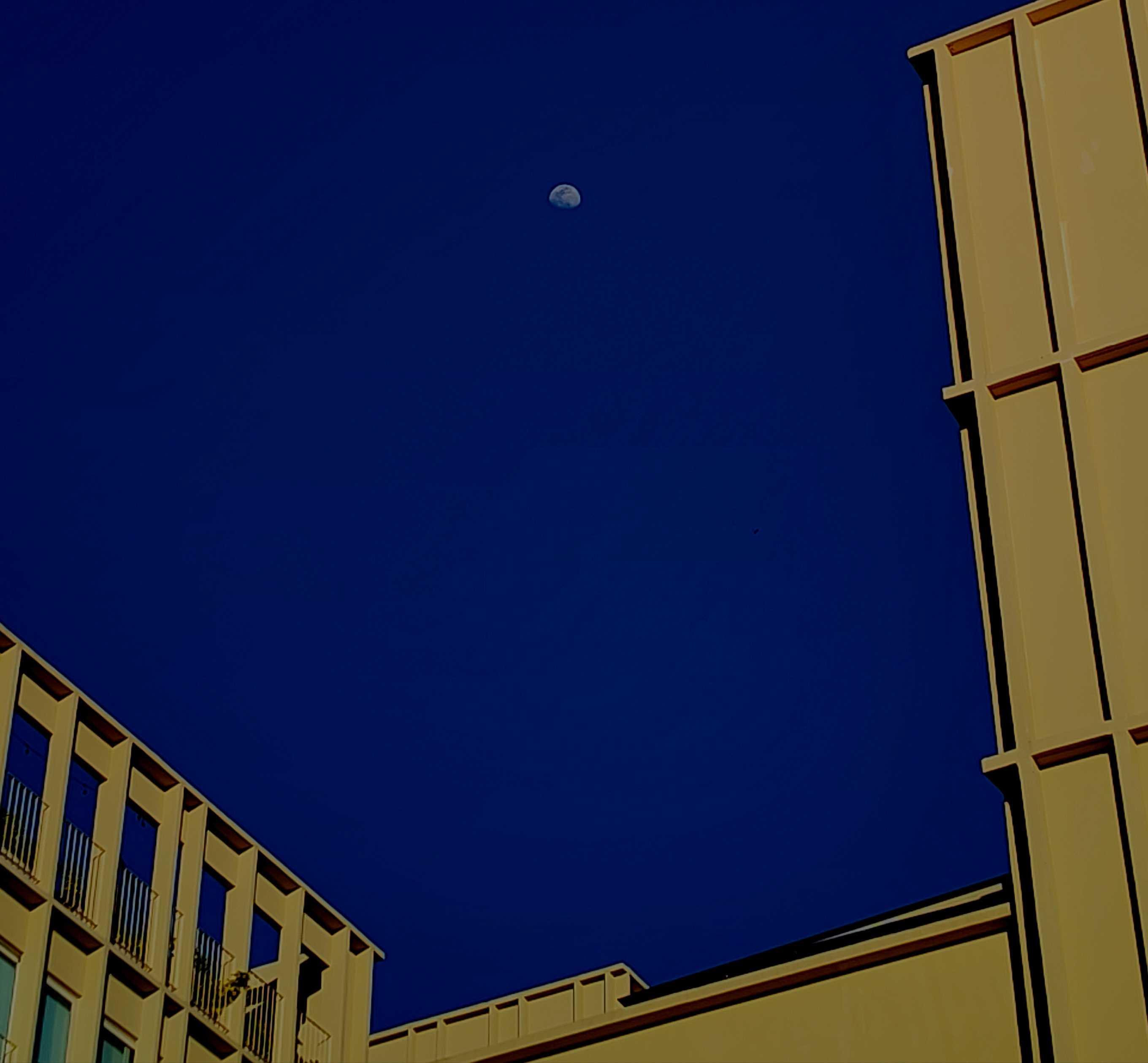 The Moon over Zapopan, México — waxing gibbous, Lunar Day 11