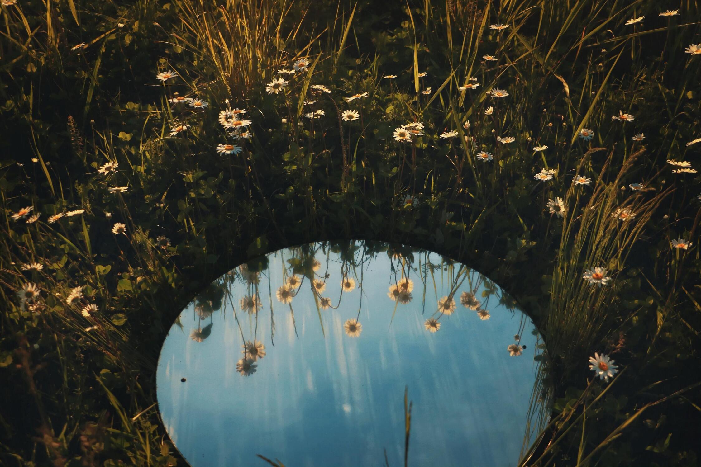 Mirror Magic