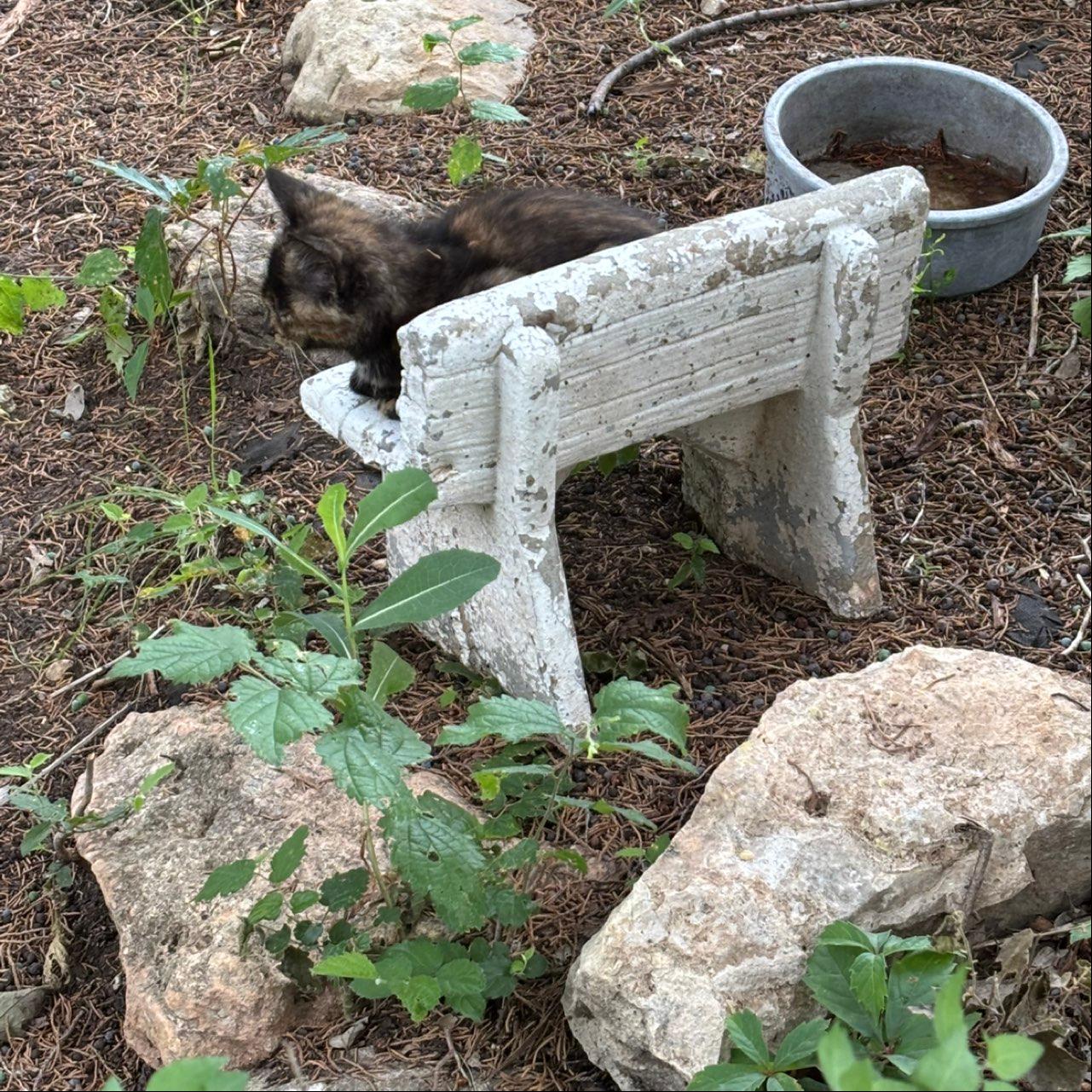 gardener